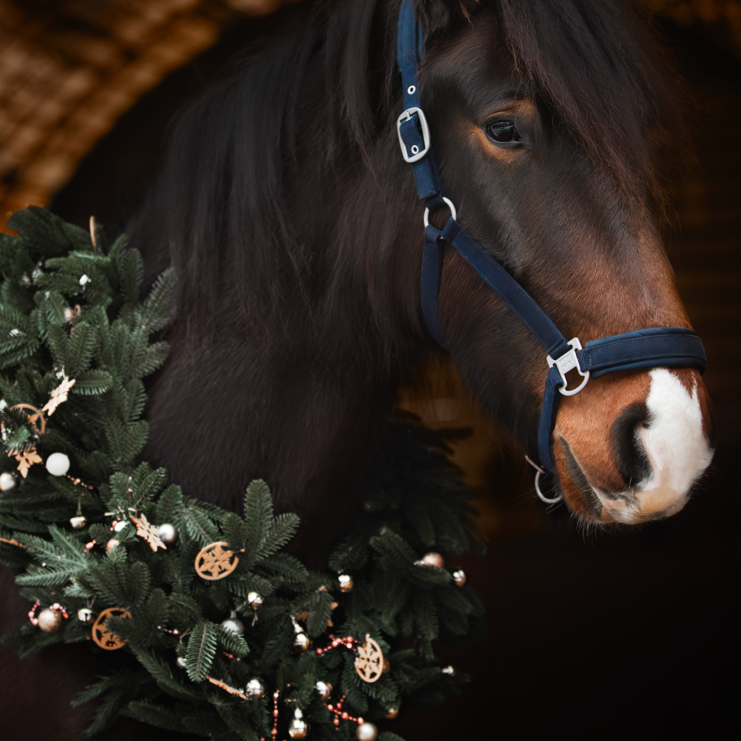 Нюра ток приехал