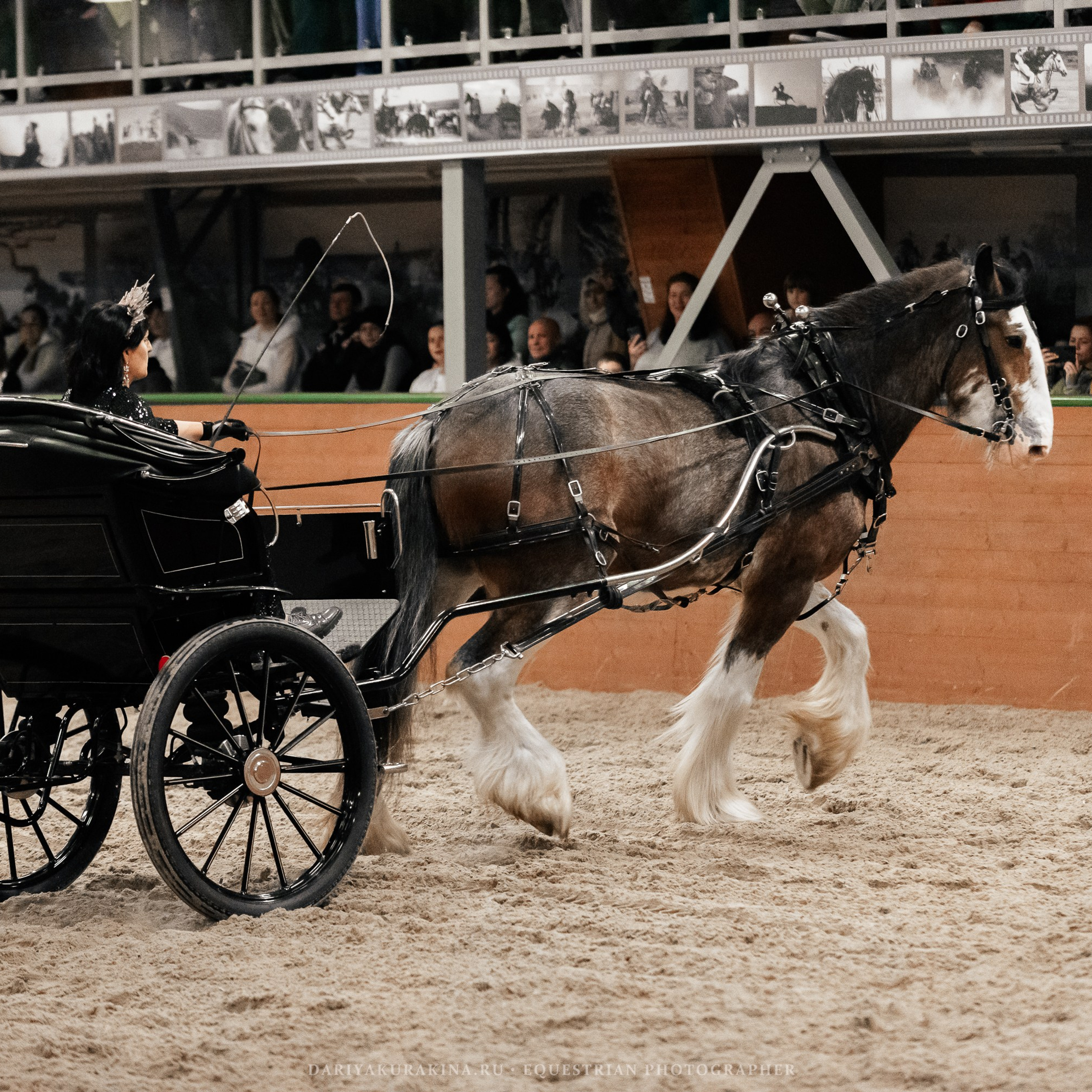 Конное представление «Дыхание Звёзд»