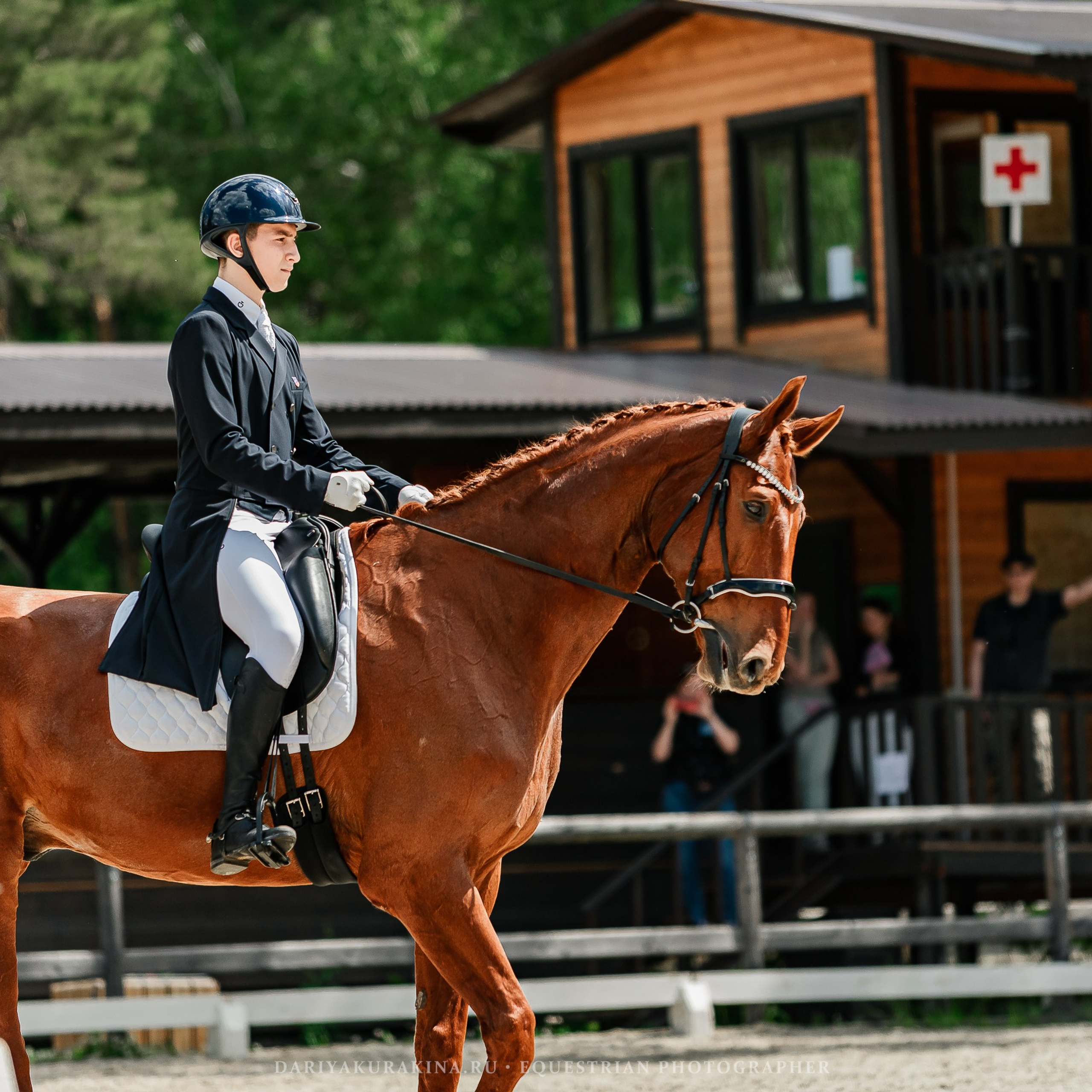 Отзывы. Конный фотограф Куракина Дарья • Фотосессии с лошадьми