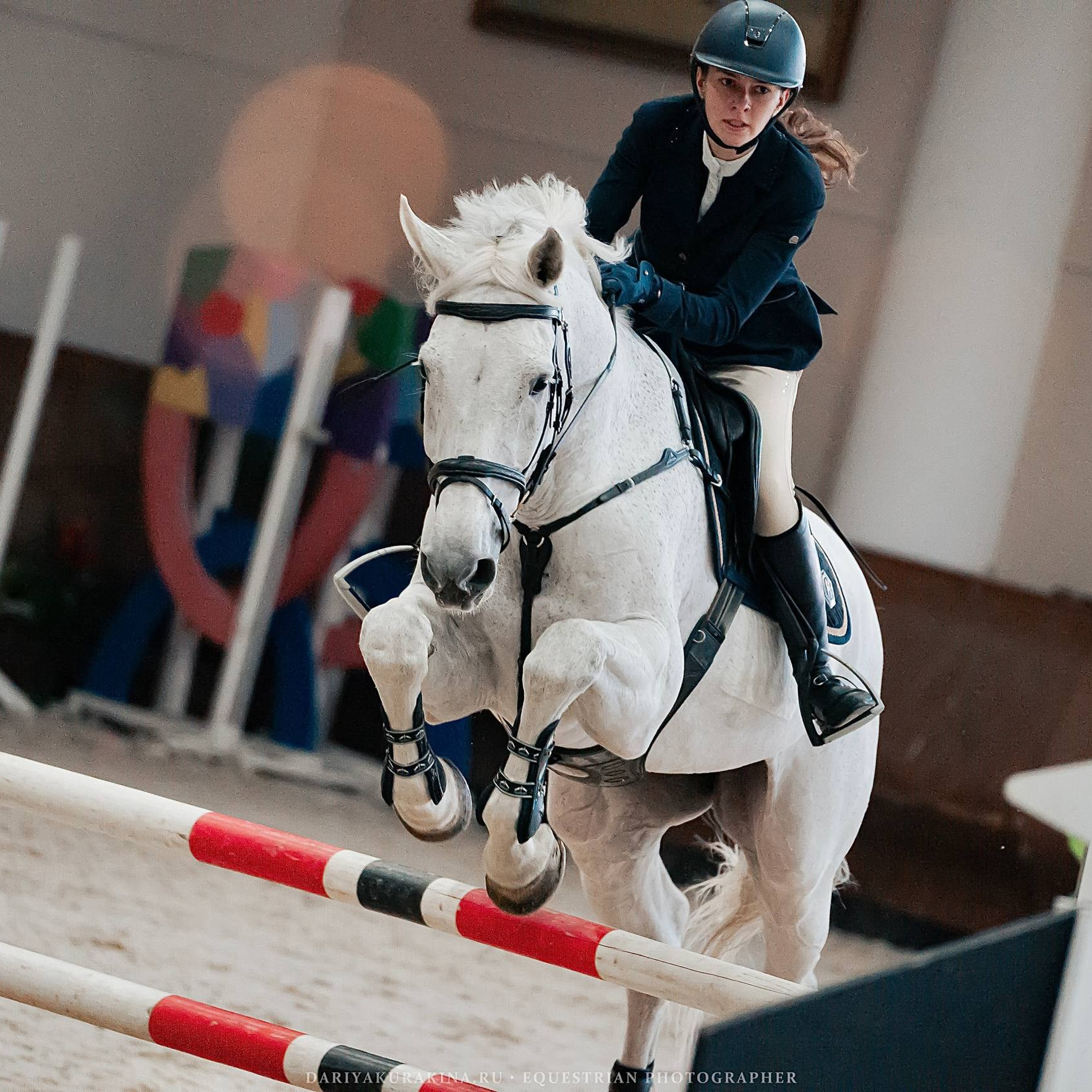 ЧЕМПИОНАТ МОСКОВСКОЙ ОБЛАСТИ ПО&nbsp;КОНКУРУ КСК «ВИВАТ, РОССИЯ!»