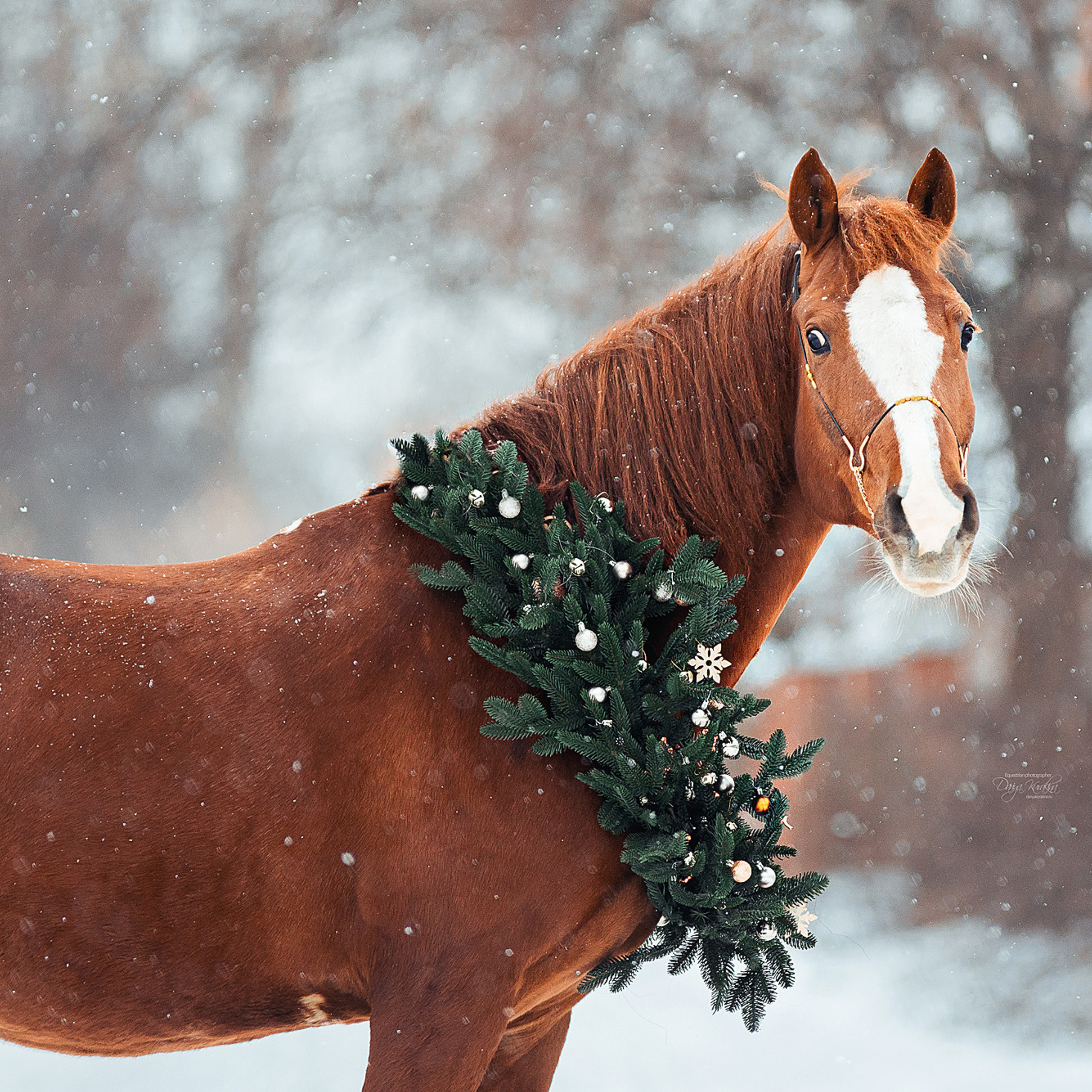 Новогодний Атос