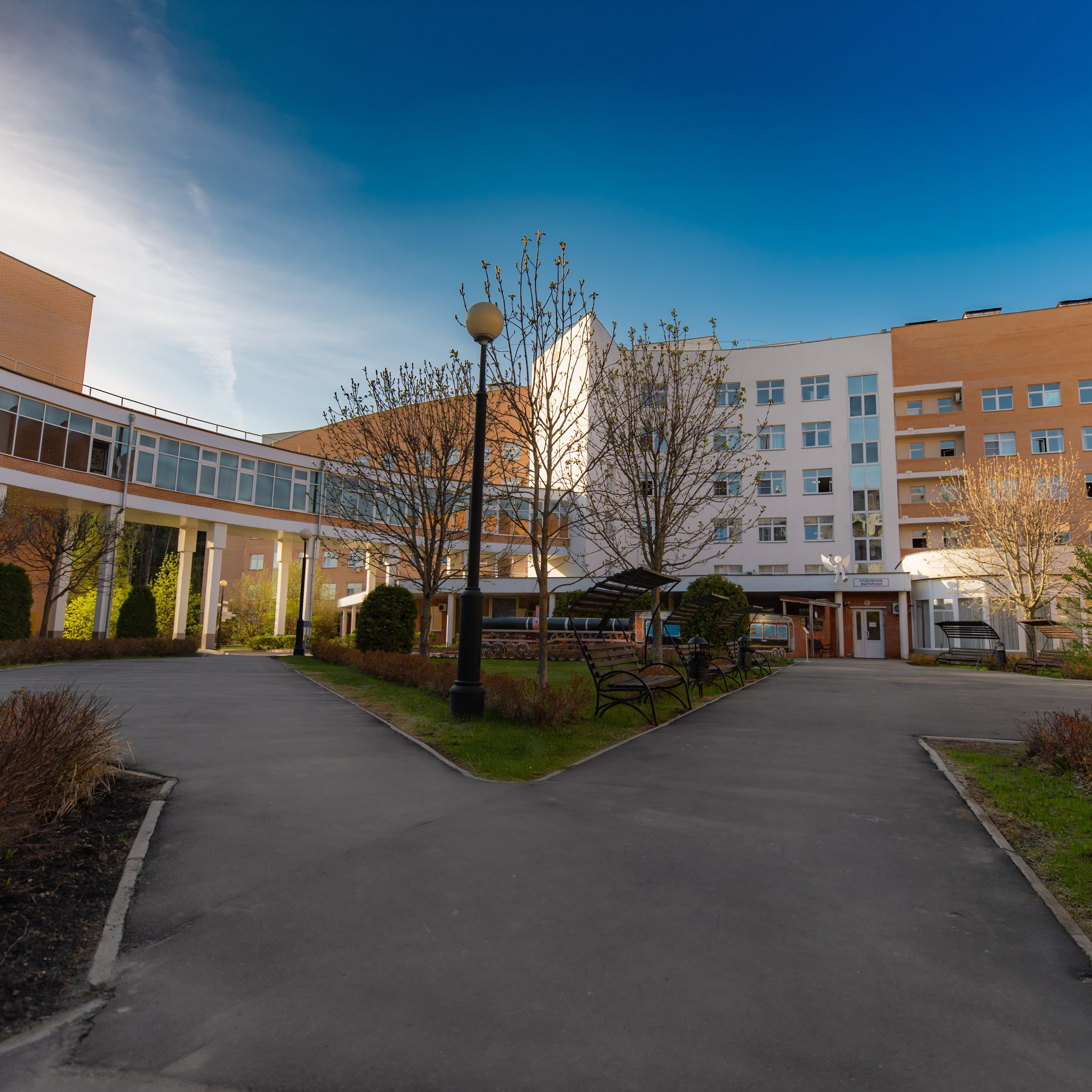 Выписка Александра