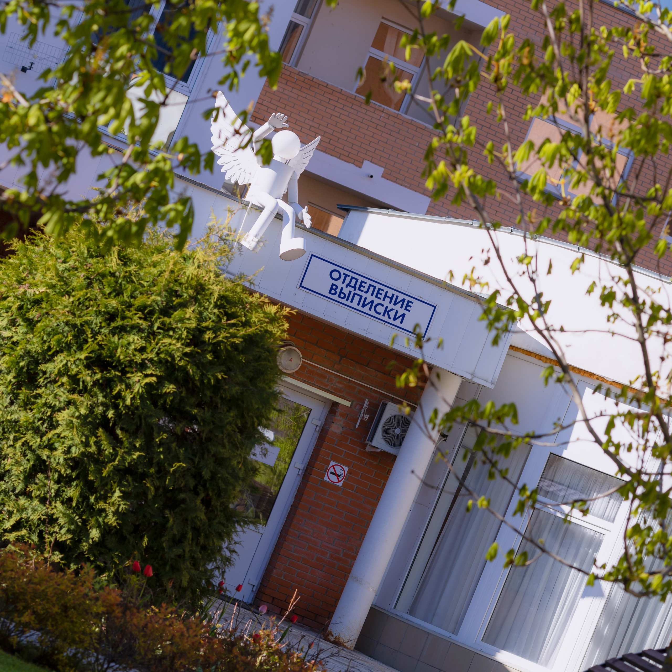 Выписка Даниила