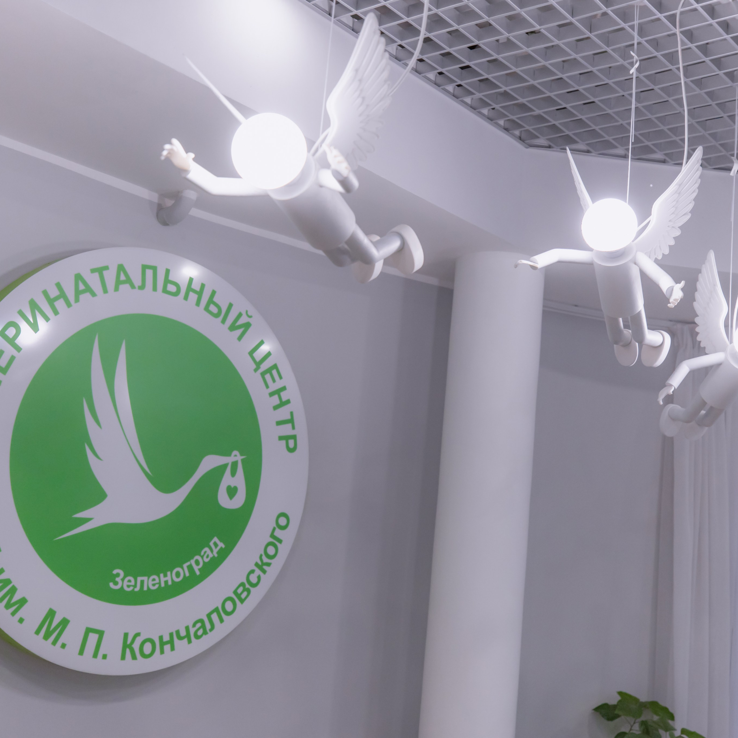 Выписка Ариши