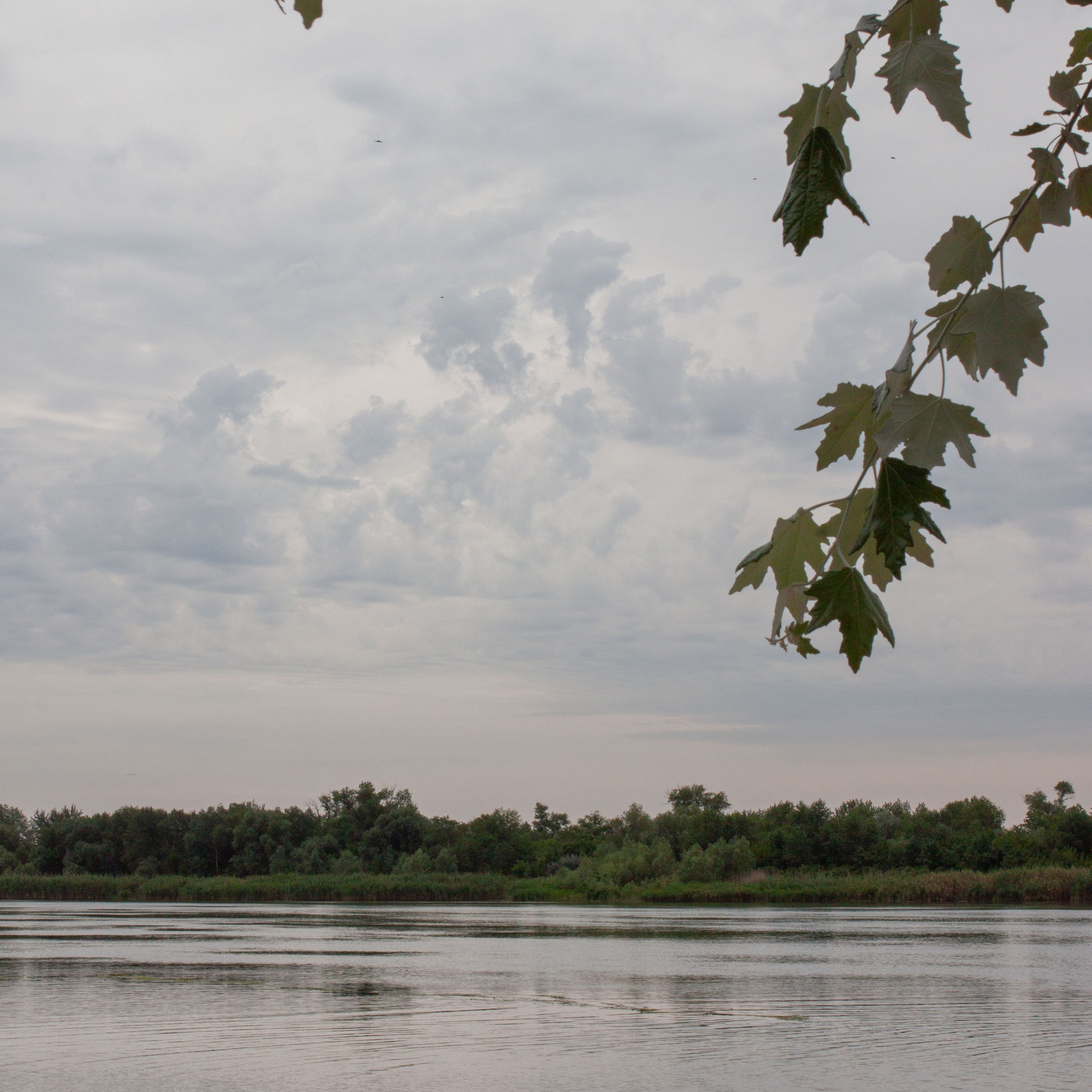 хутор Старозолотовкий Ростовская область