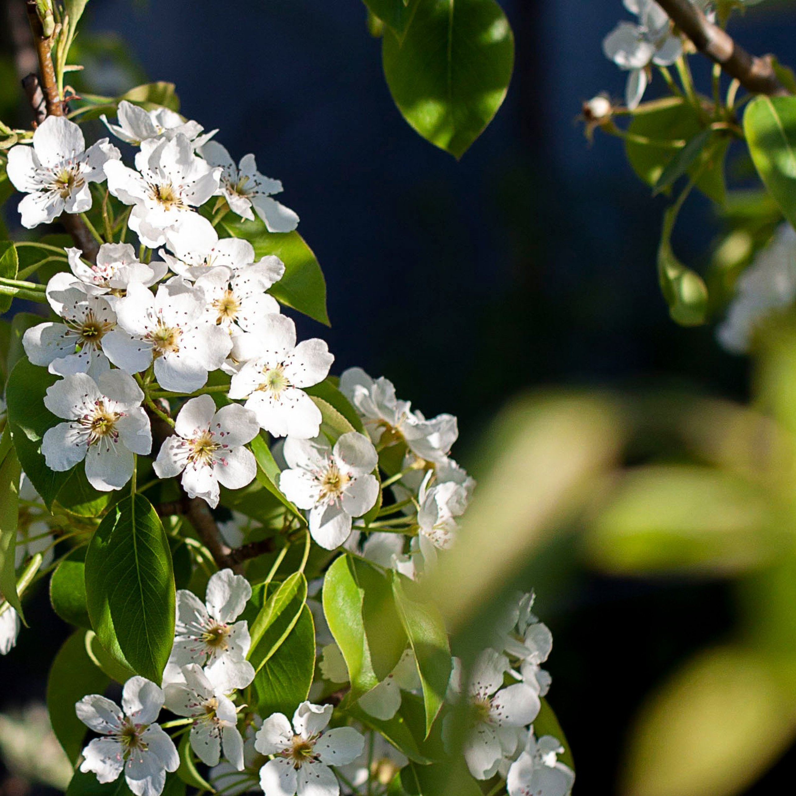Отзывы. Фотограф в Ростове-на-Дону Юлия Желтова
