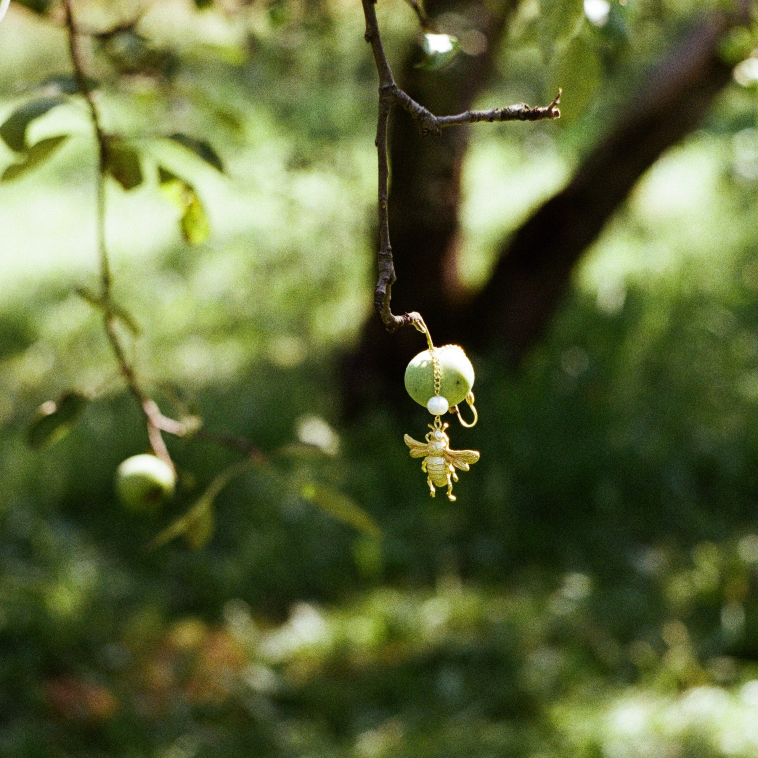 Pinerollo summer drop [пленка]