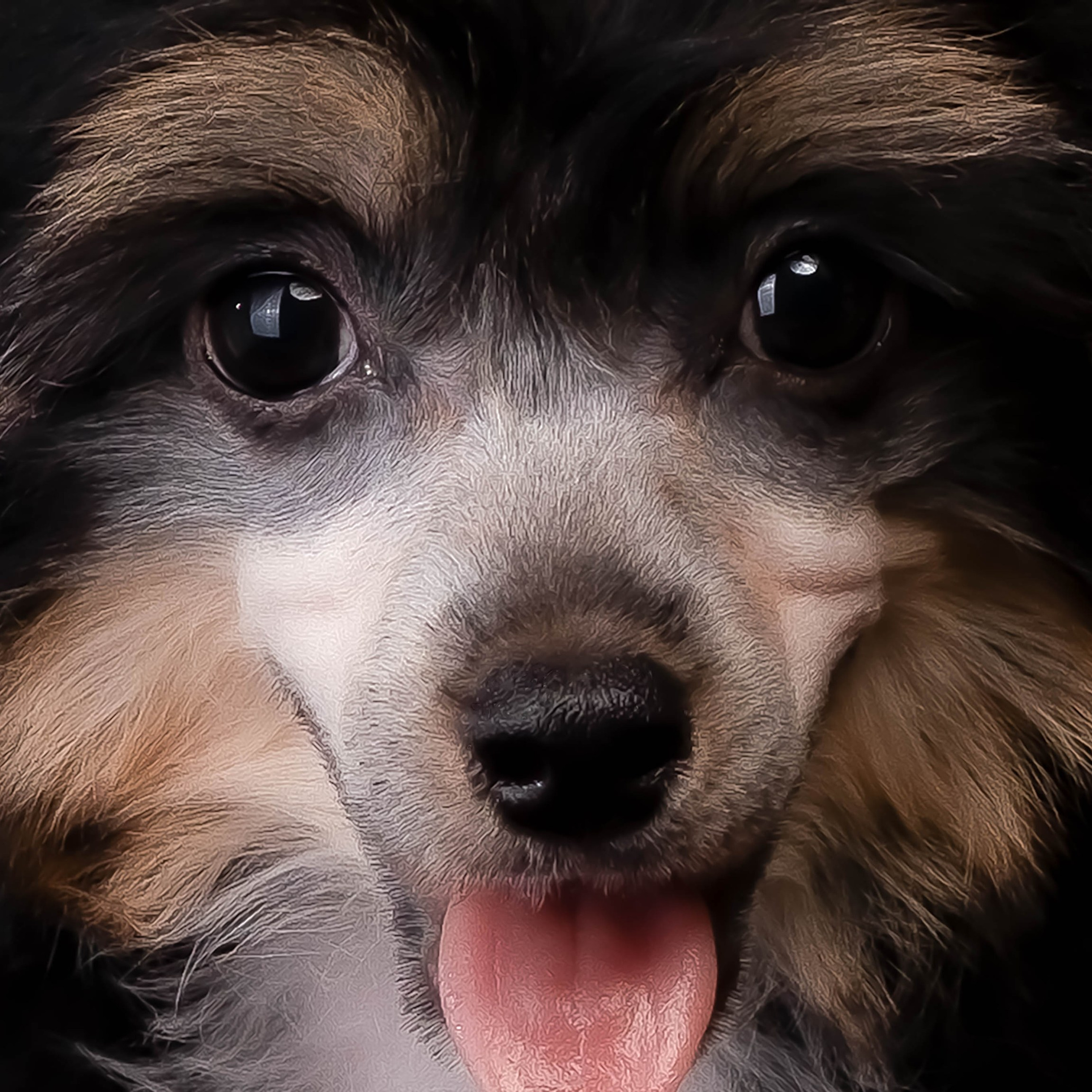 07.06.2025 Синяя фотосессия