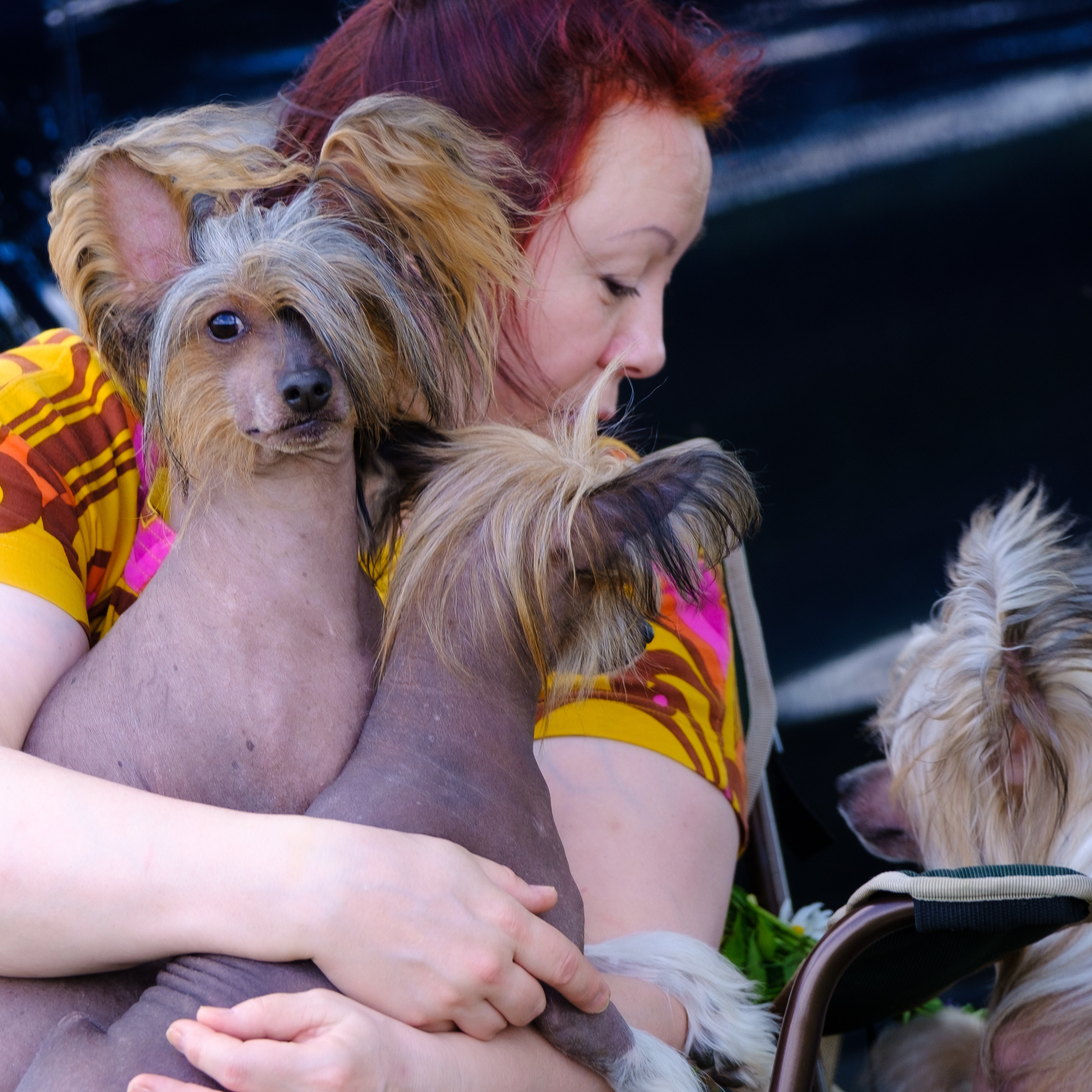 Poale Ell 24.06.2020