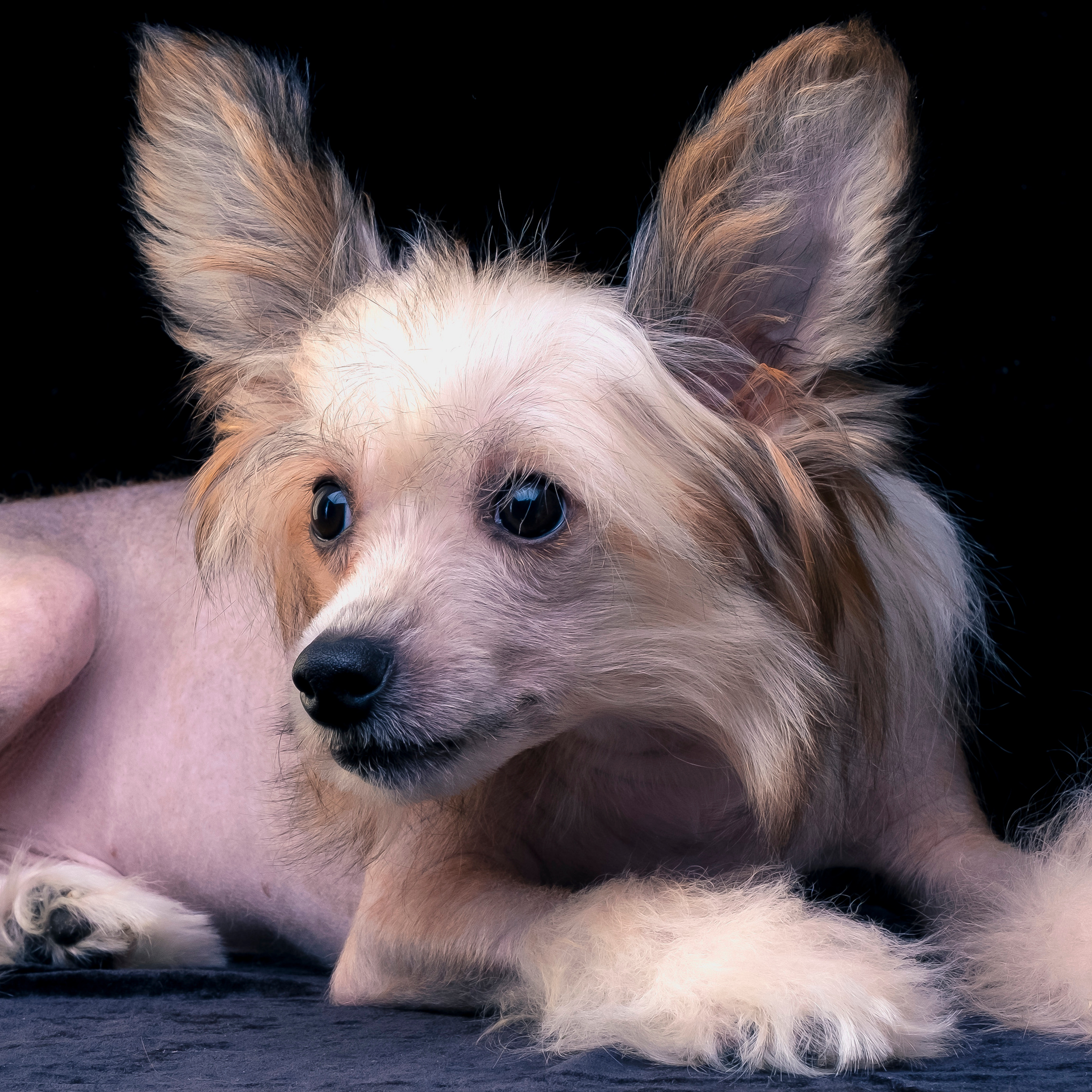 Фотограф в Москве