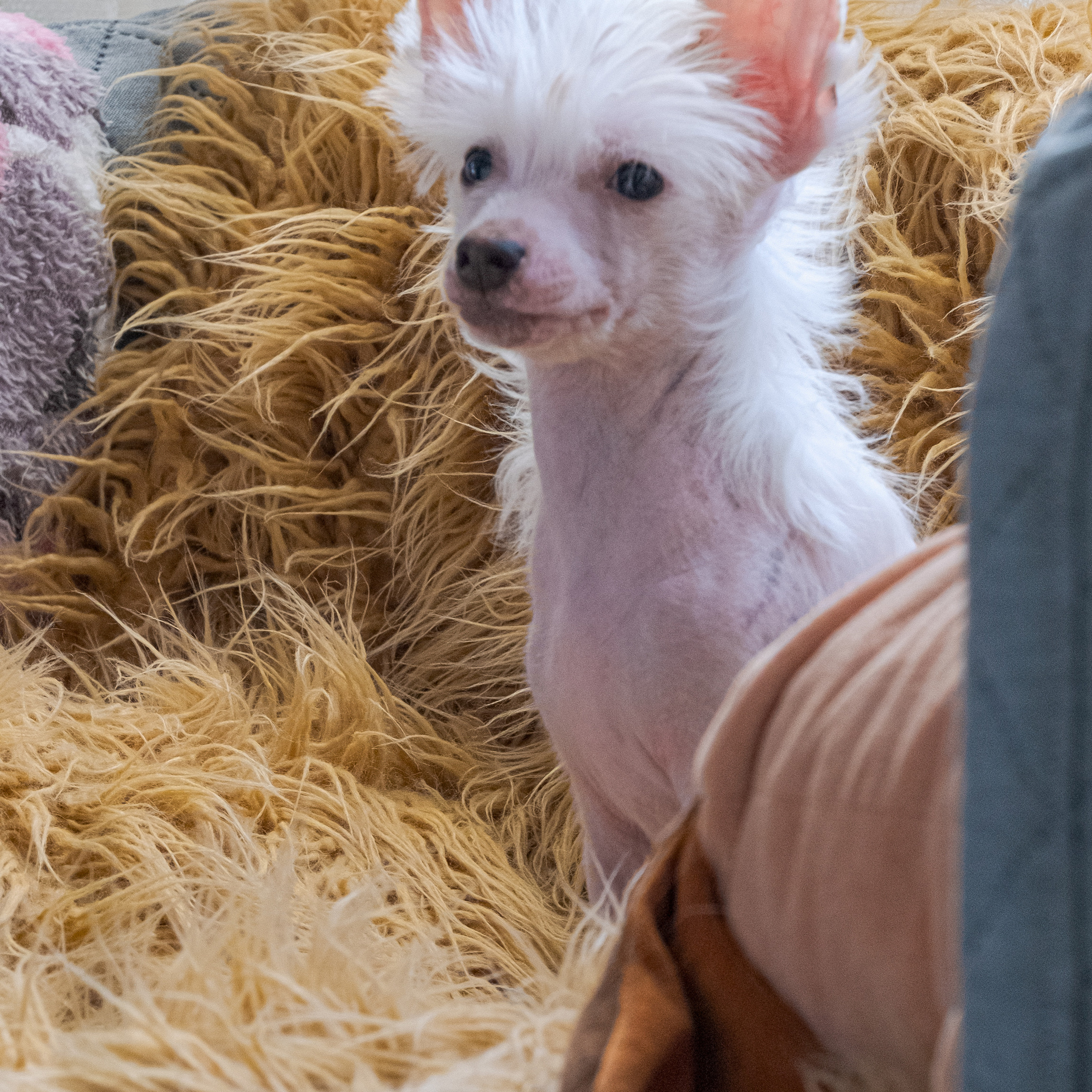 Шоу Галактика 17.01.2021