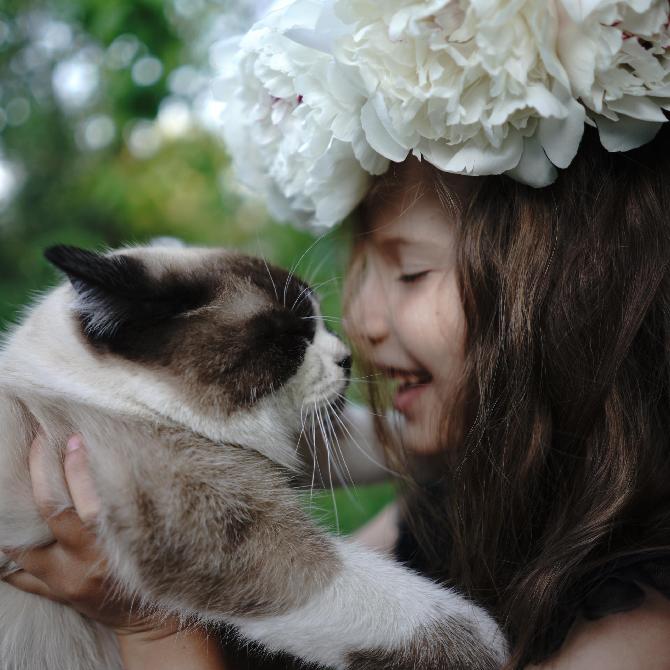 Главная — Фото