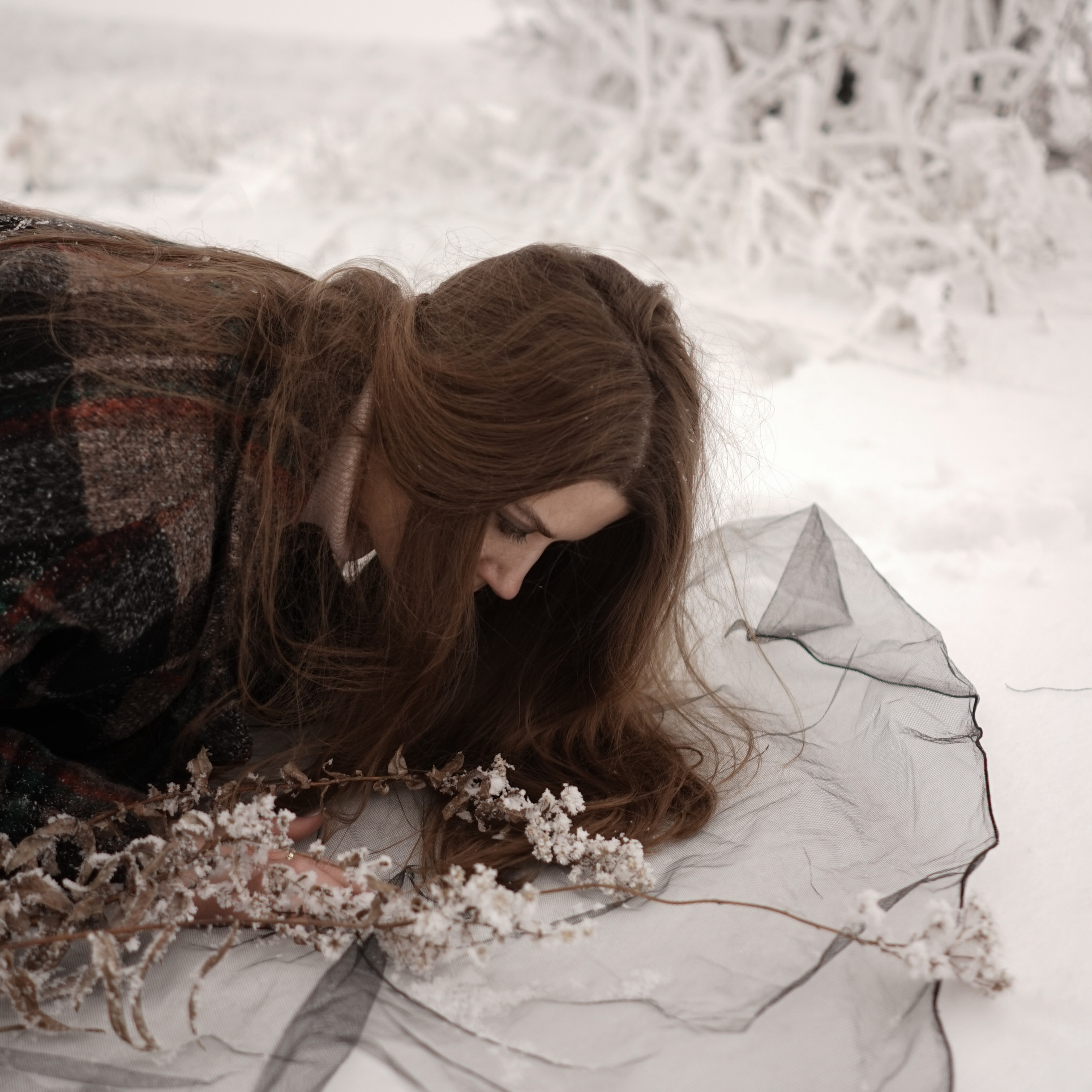 Главная — Фото