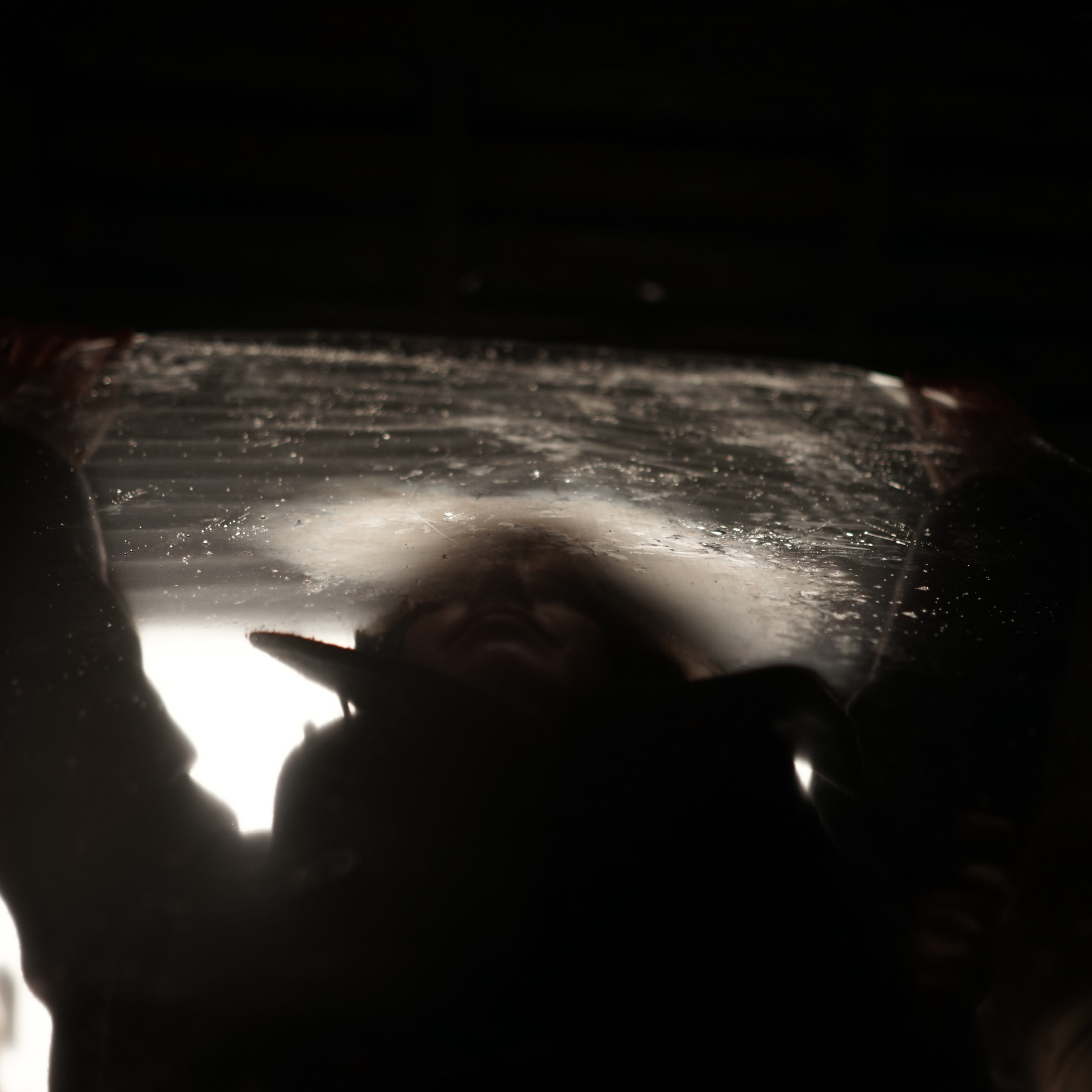 Главная — Фото