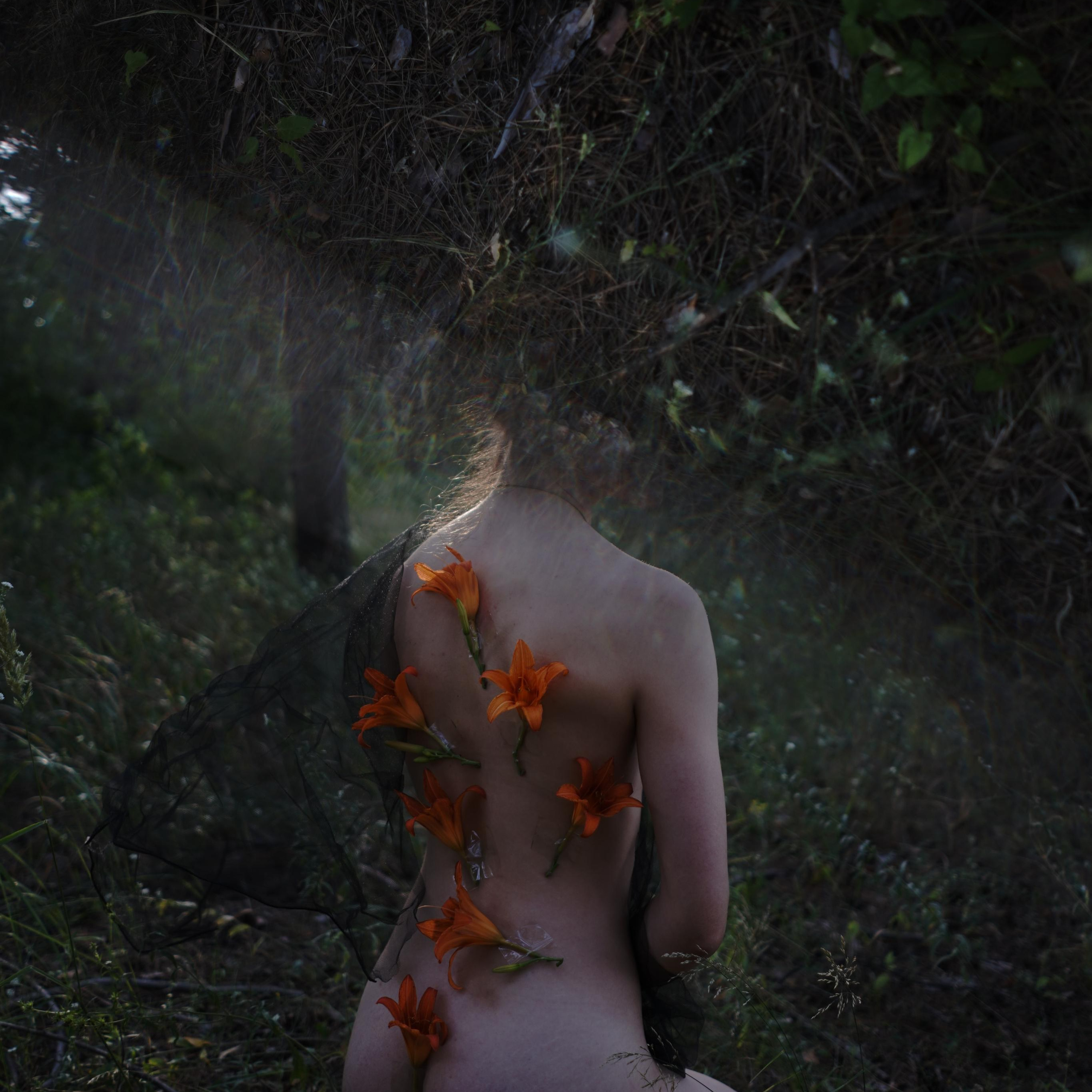 Главная — Фото