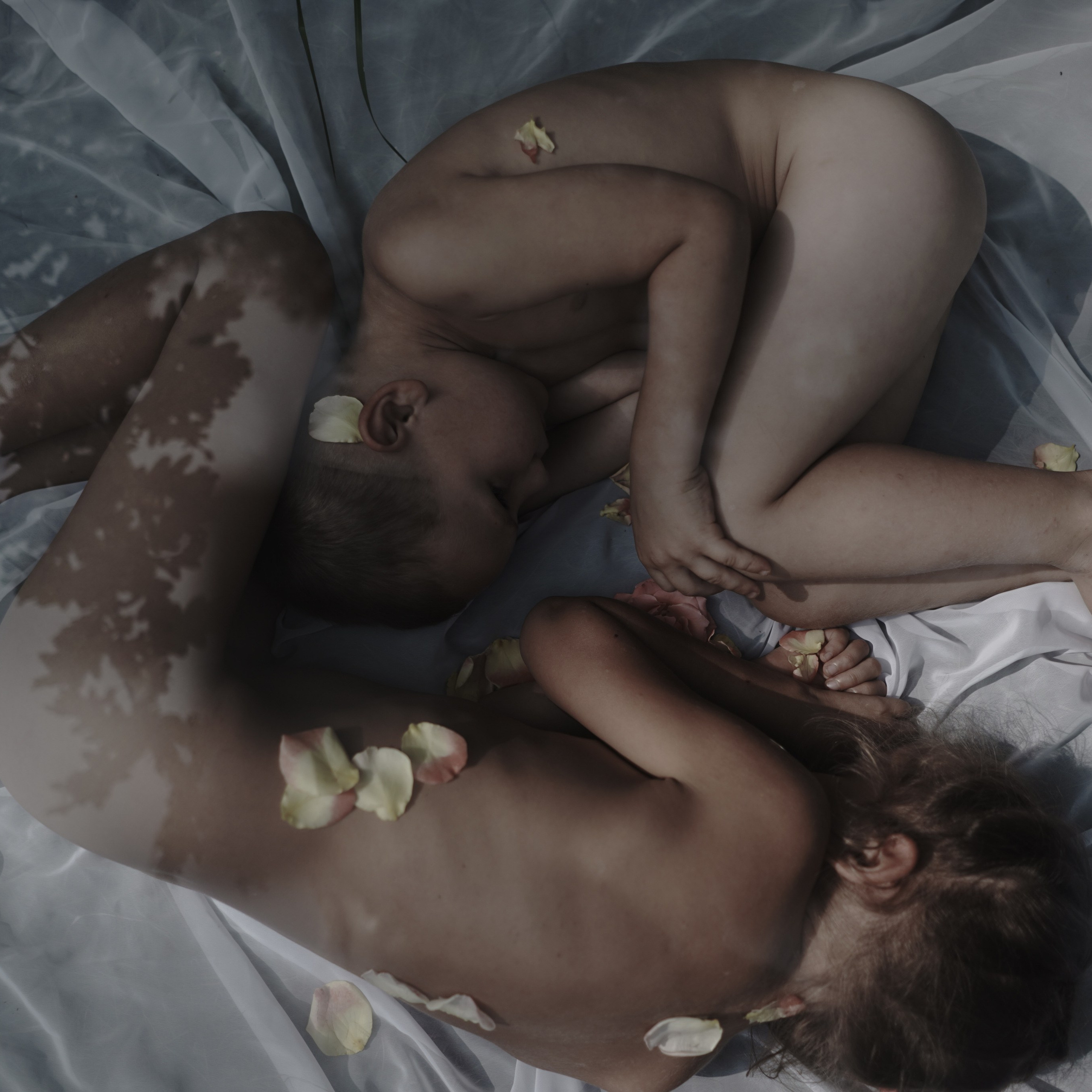 Главная — Фото