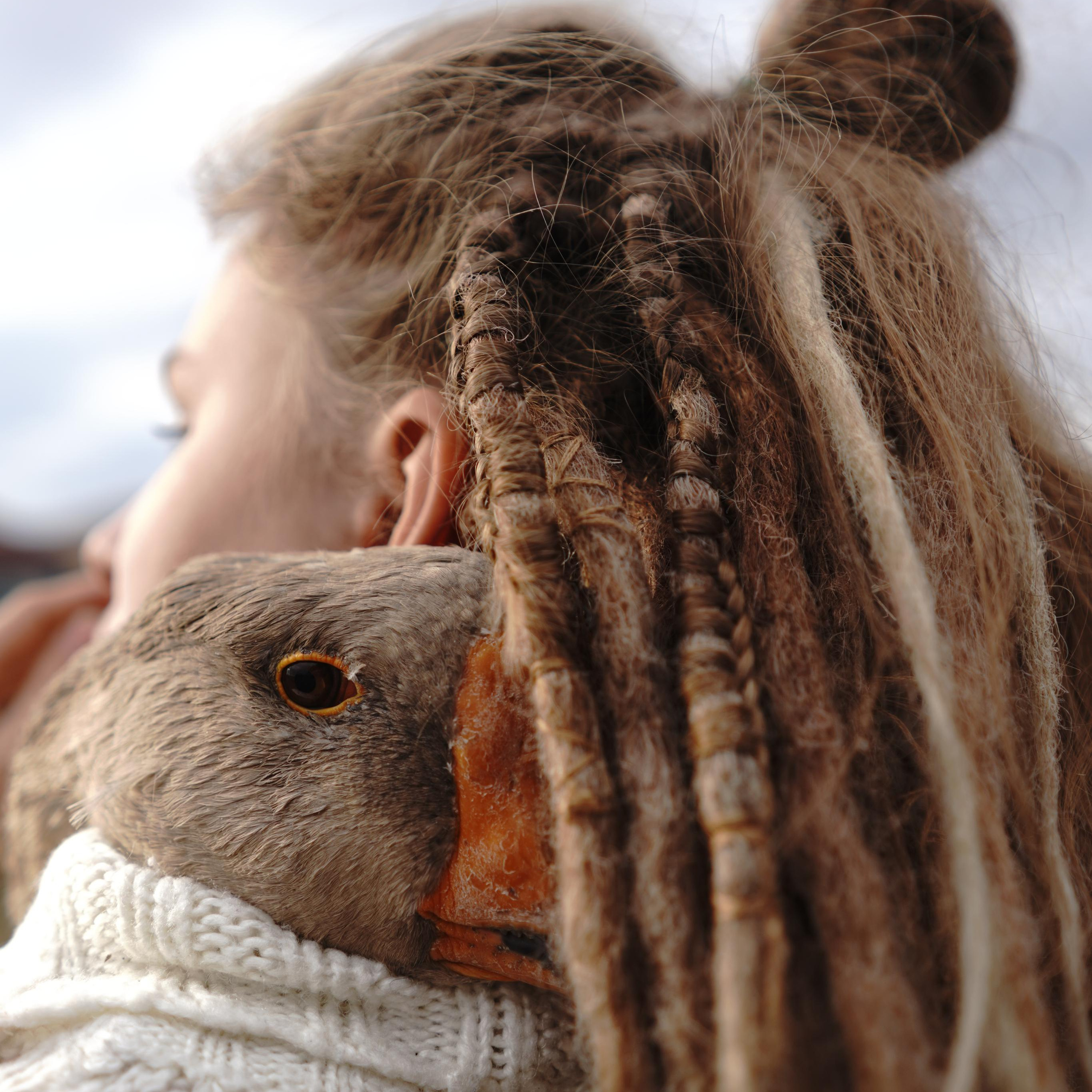 Главная — Фото