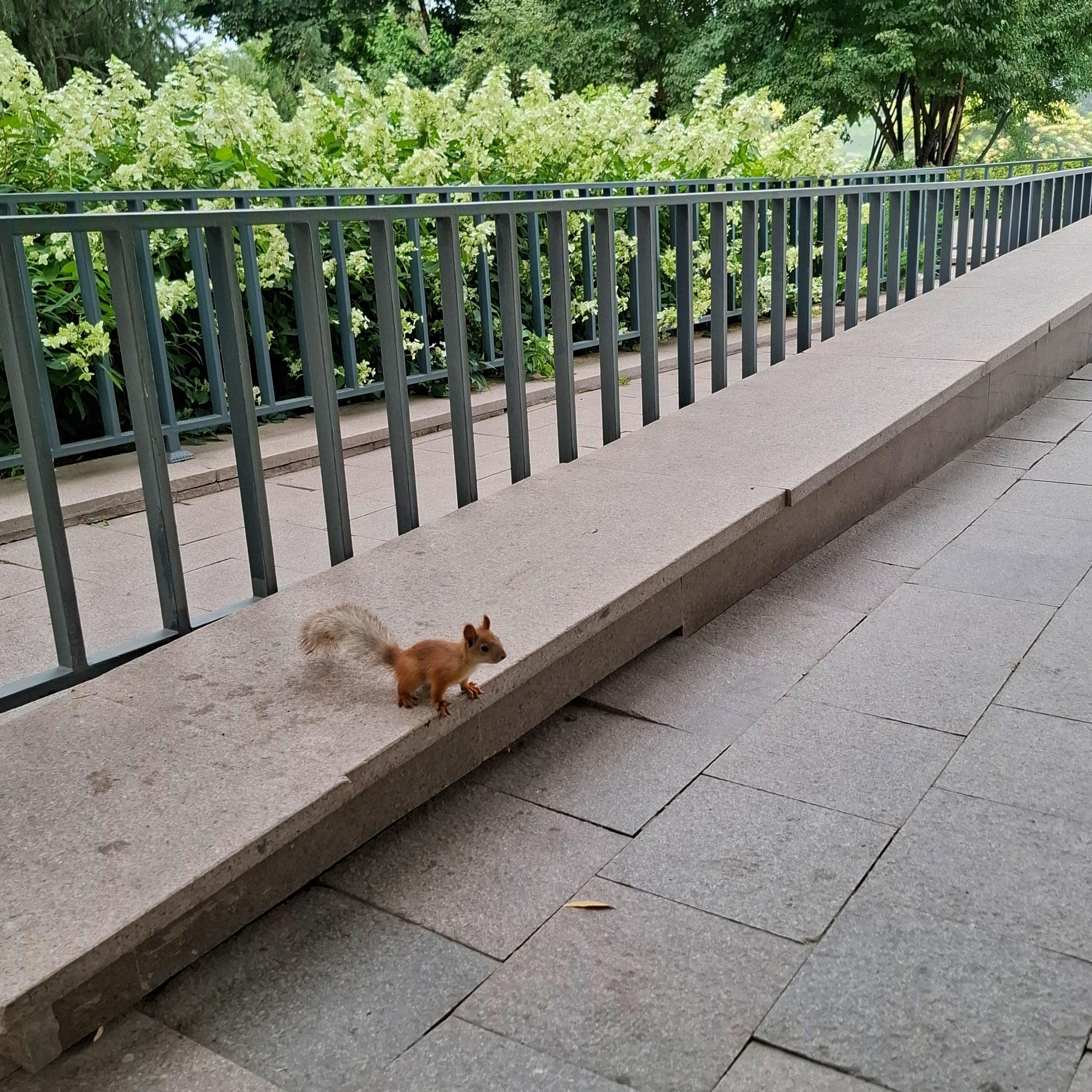 | Живое и Вечное |