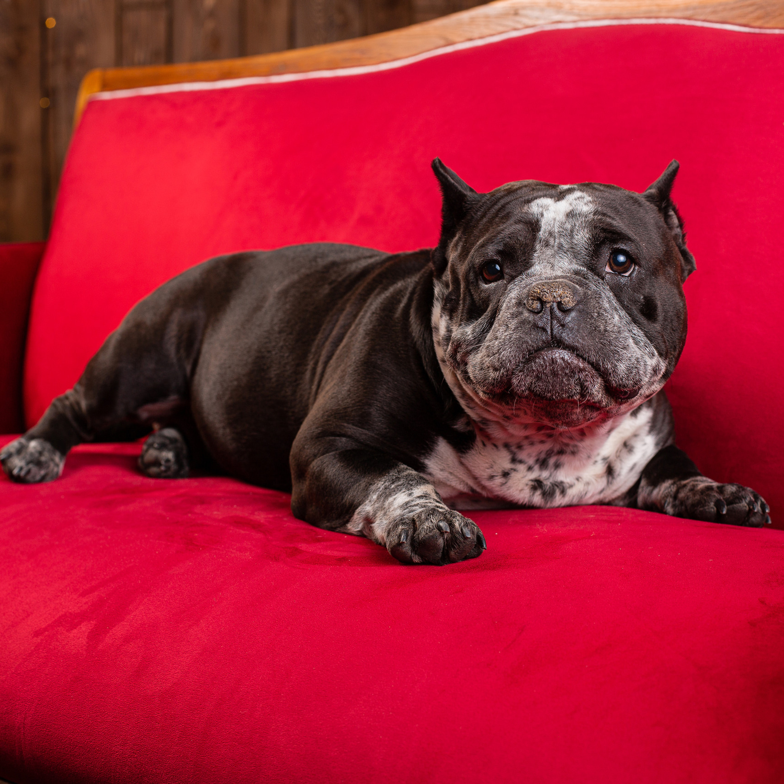 Отзывы. Фотограф Игорь Тихонов