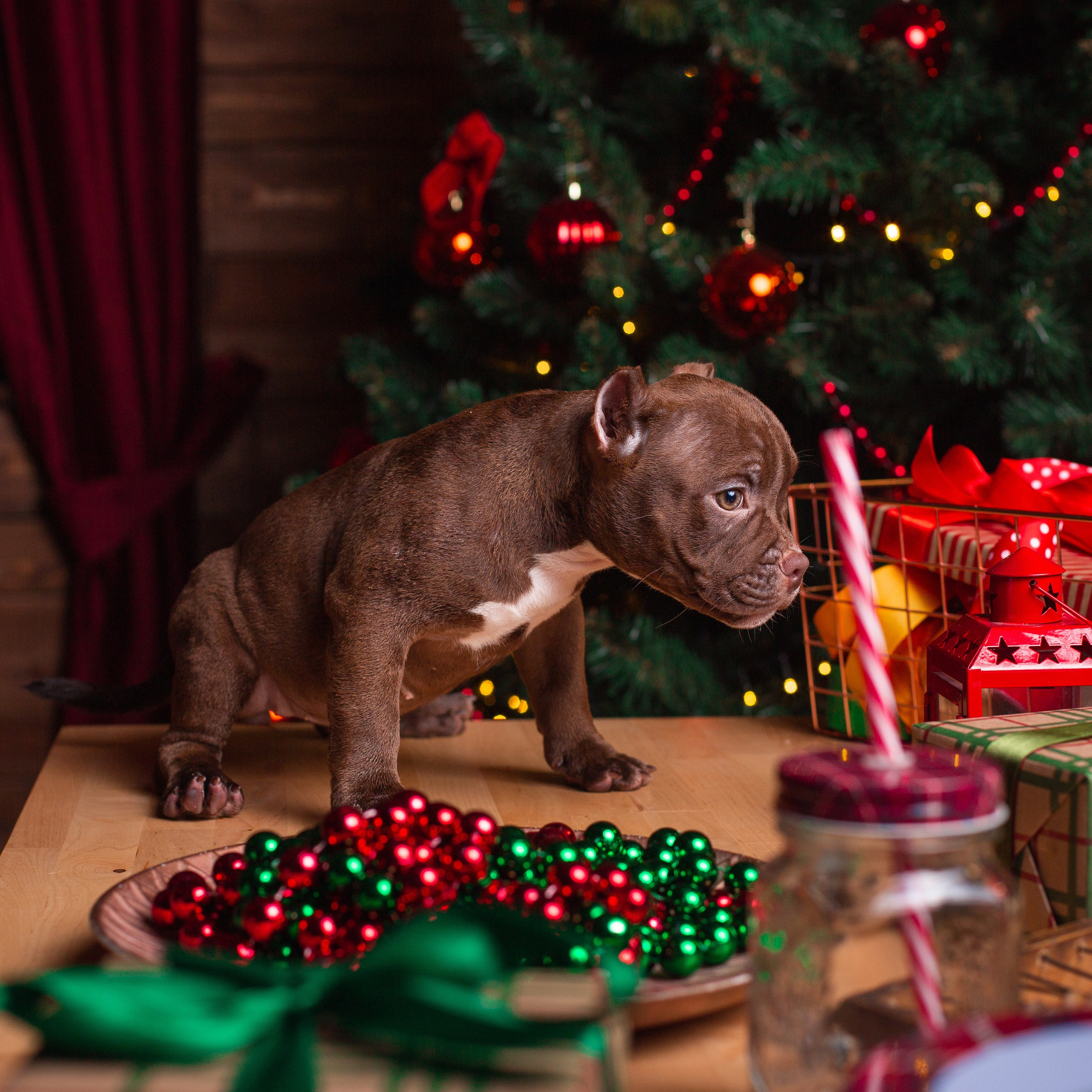 Отзывы. Фотограф Игорь Тихонов