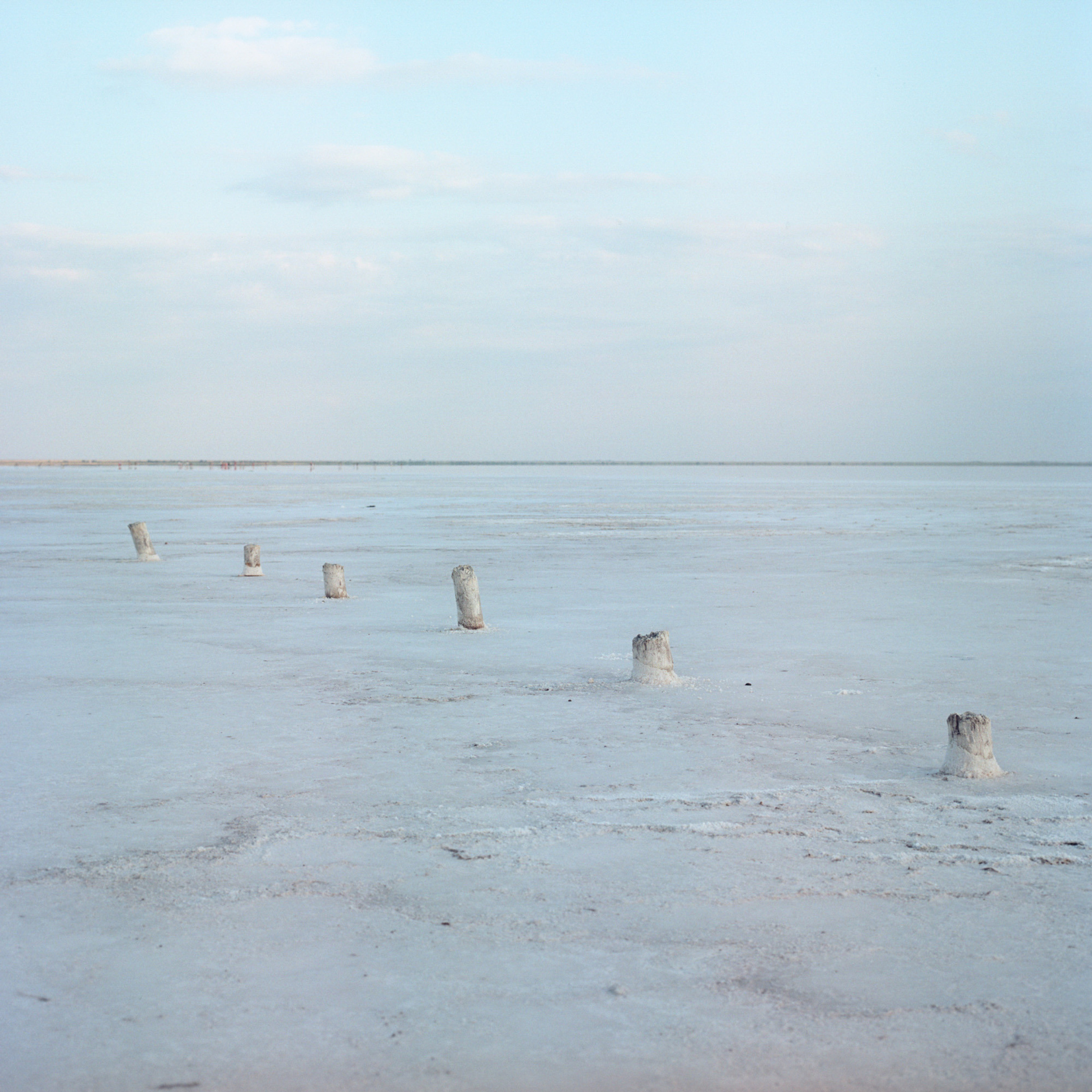 Поленья дерева, оставленные местными жителями. Соль, нарощенная вокруг полена, потом отправится на прилавок для продажи.