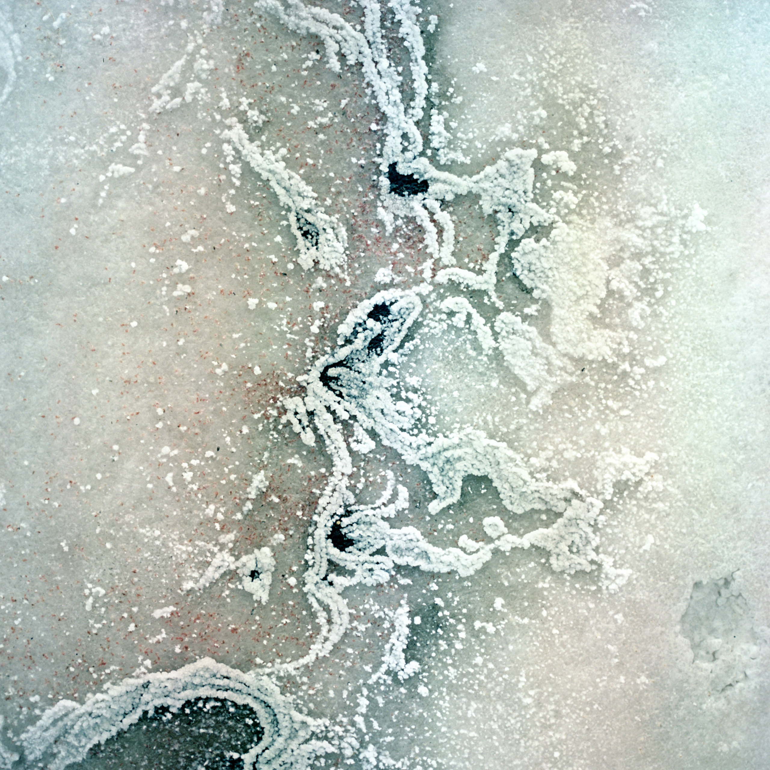 Озеро Бурлинское.