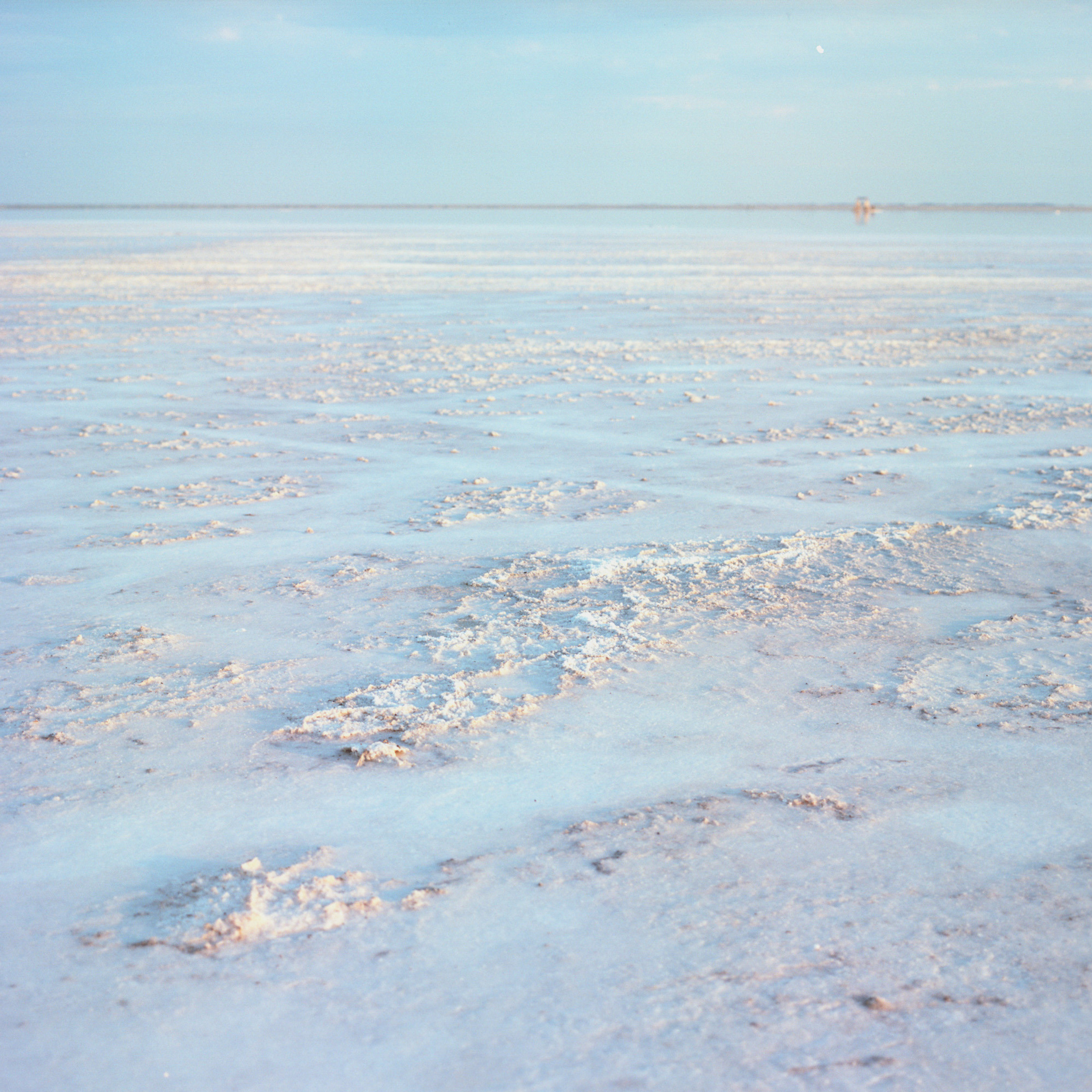 Берег озера Бурлинское.