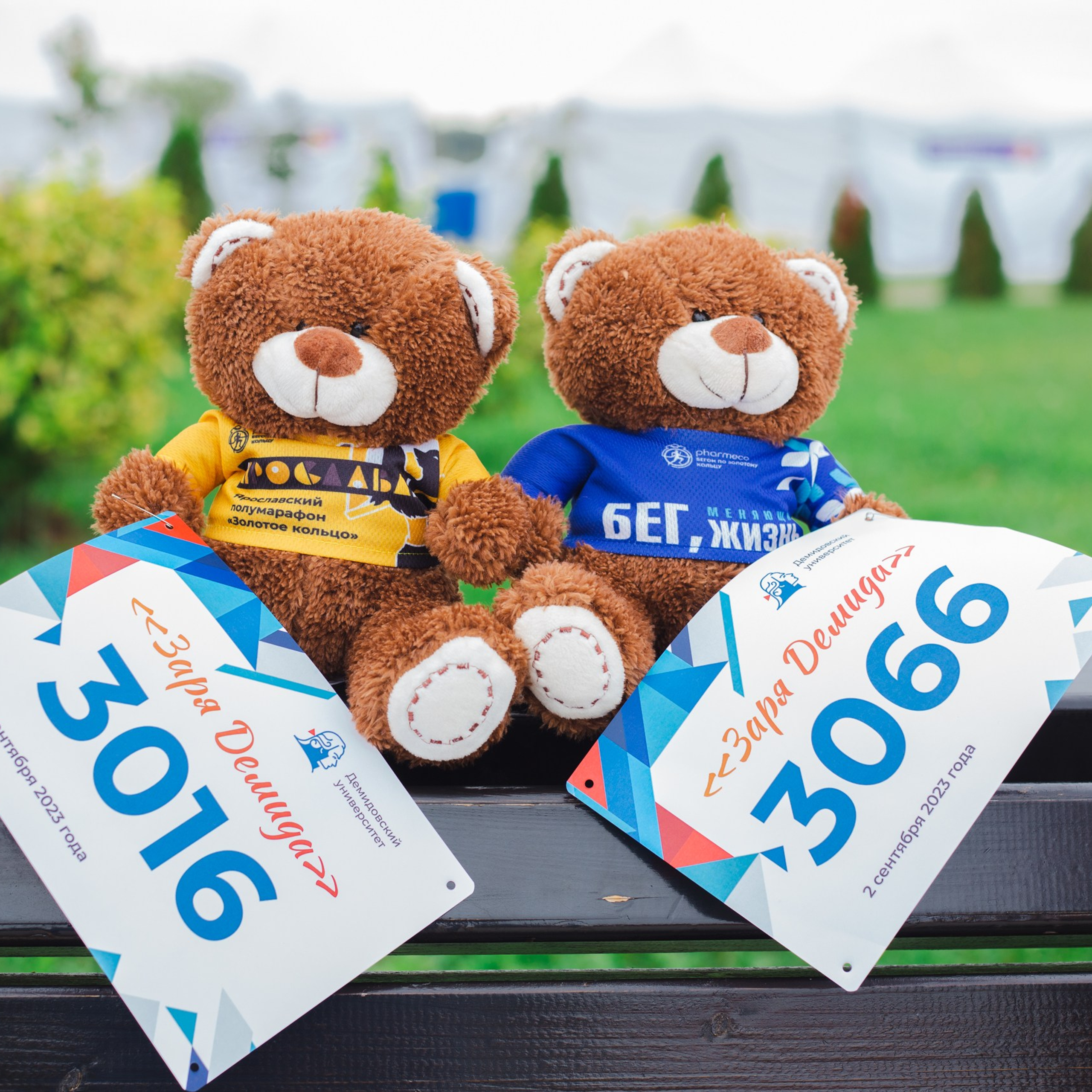 Заря Демида, сентябрь 2023