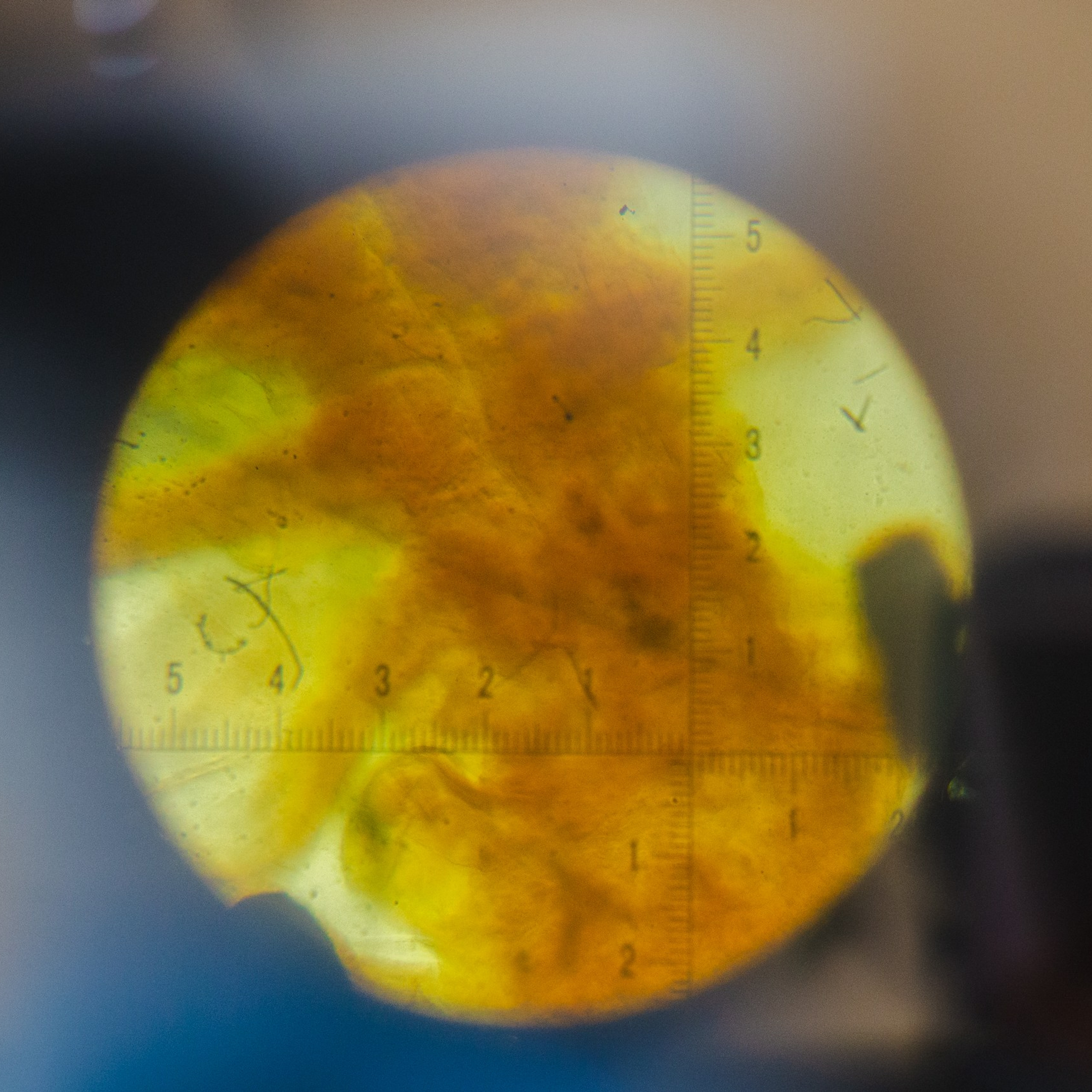 репортаж Наука