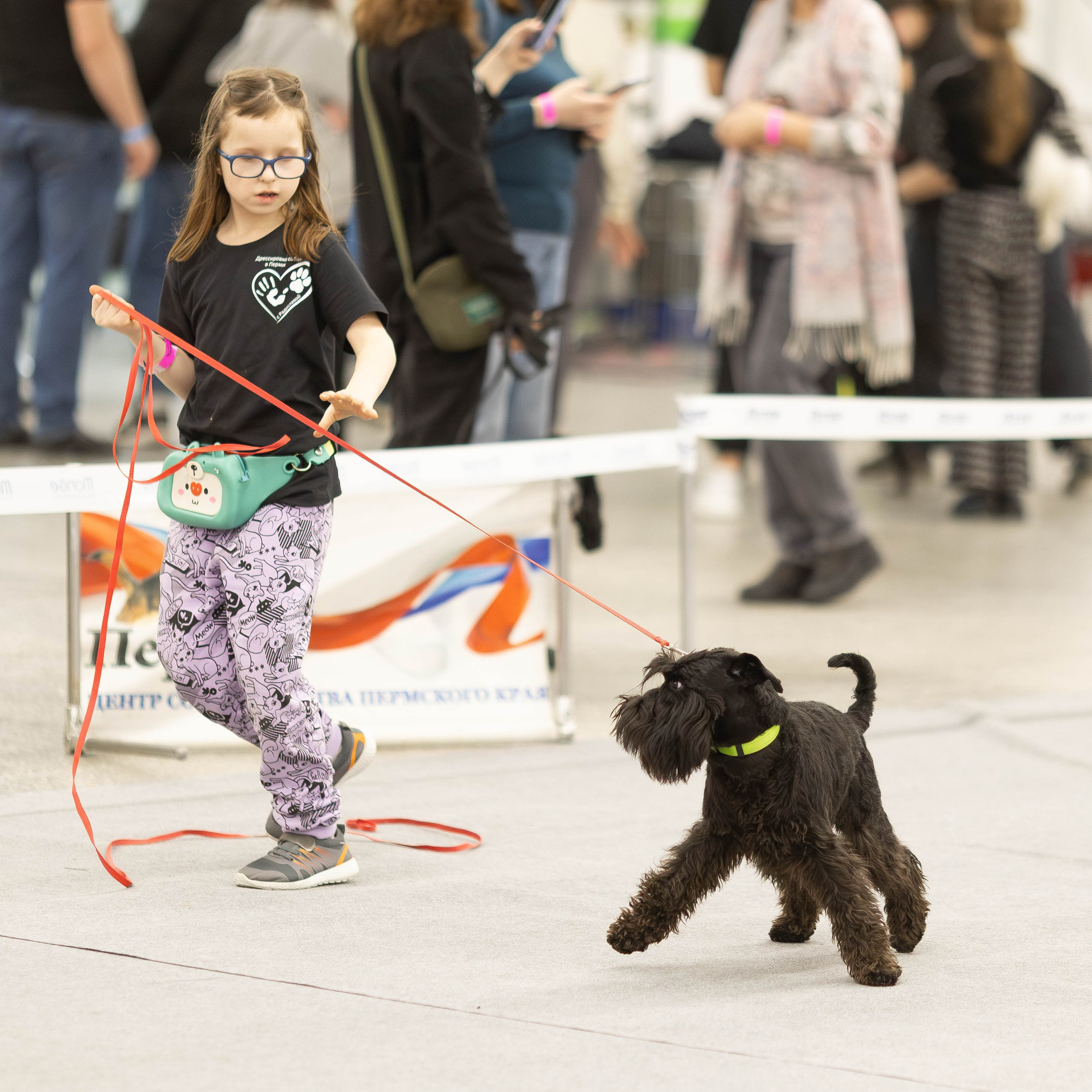 Отзывы. Фотограф Анималист в Перми Анастасия Остерман