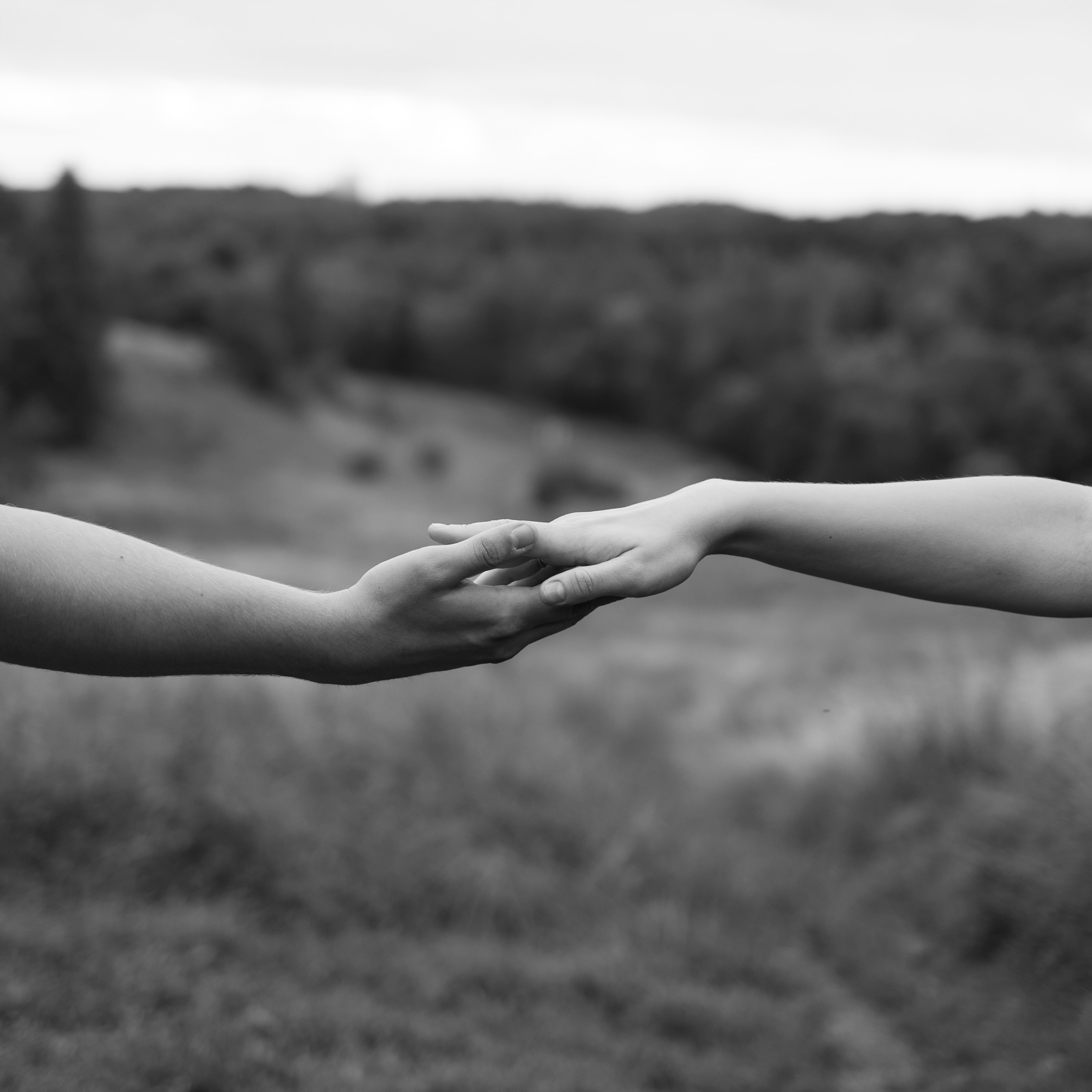 Алексей и Диана