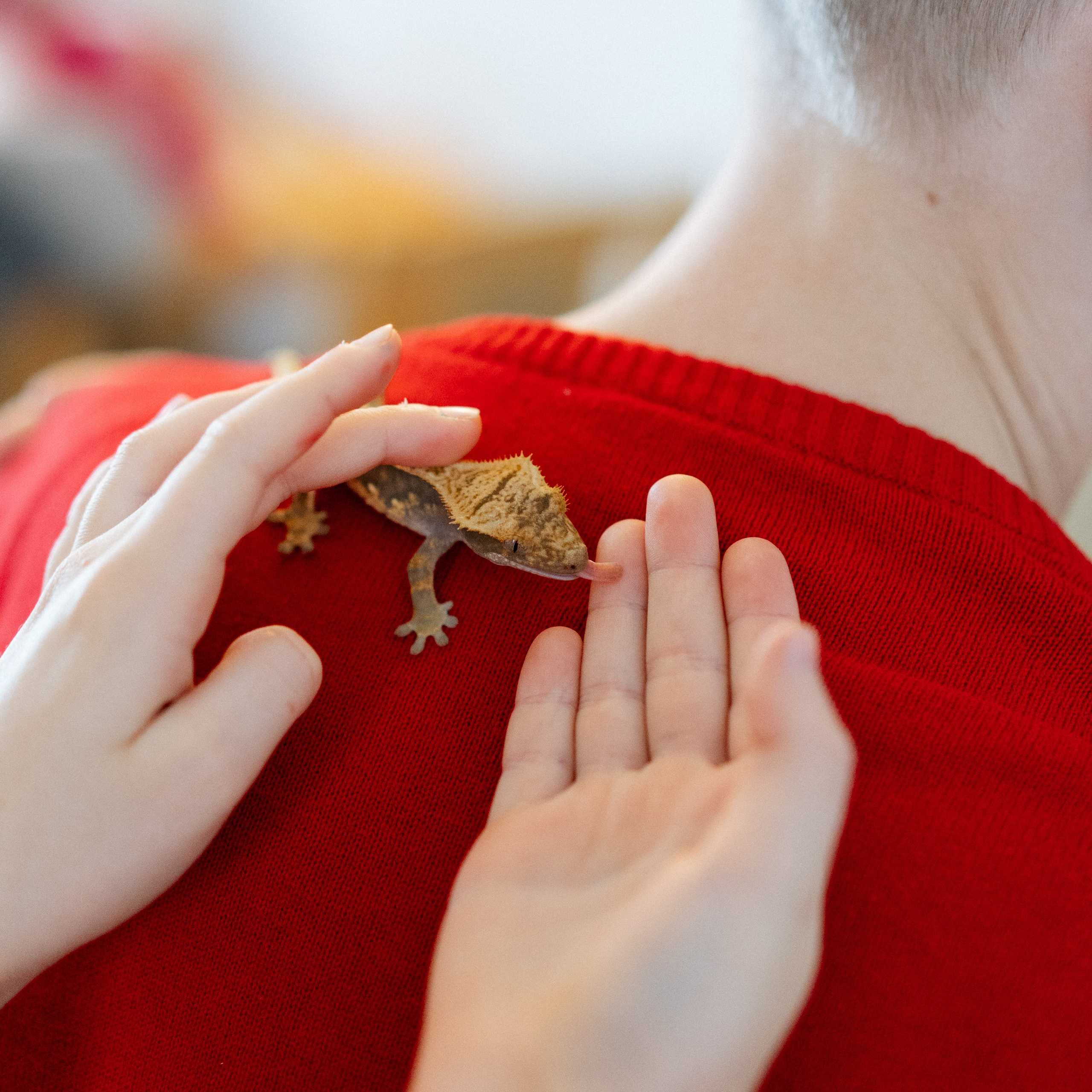 Отзывы. Свадебный и семейный фотограф в Калининграде Анастасия Гриценко