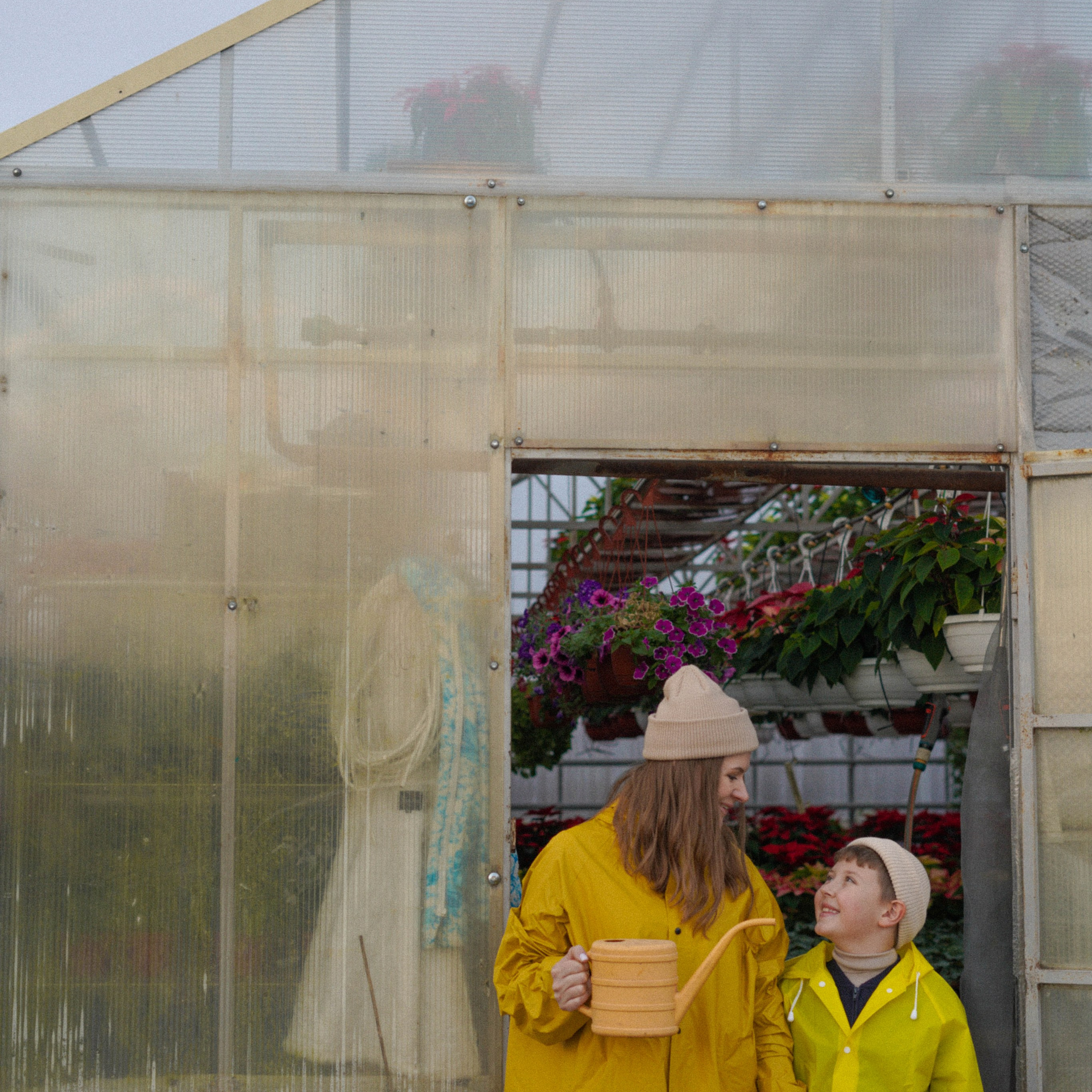 Осень и ее прелести