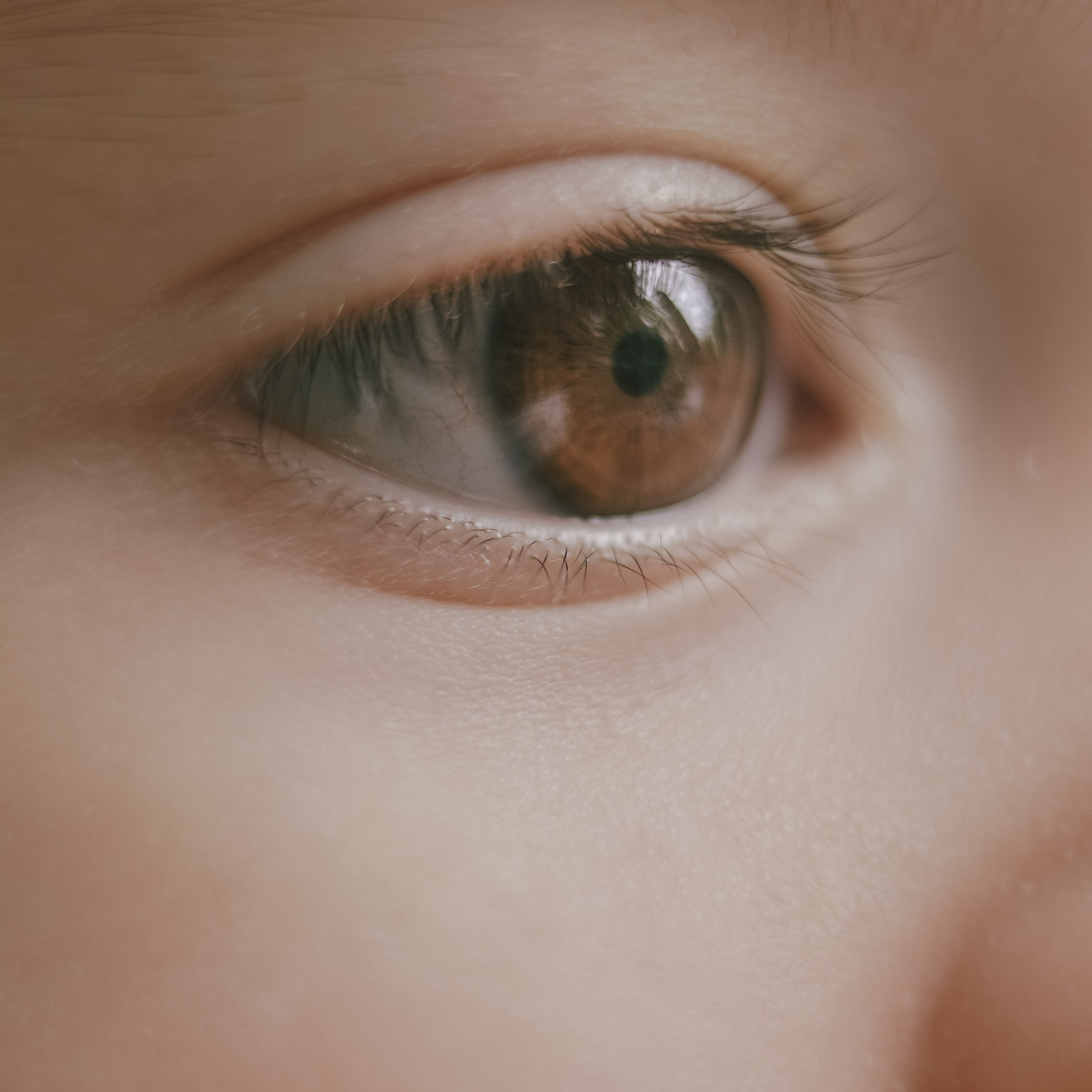 То, что я вижу