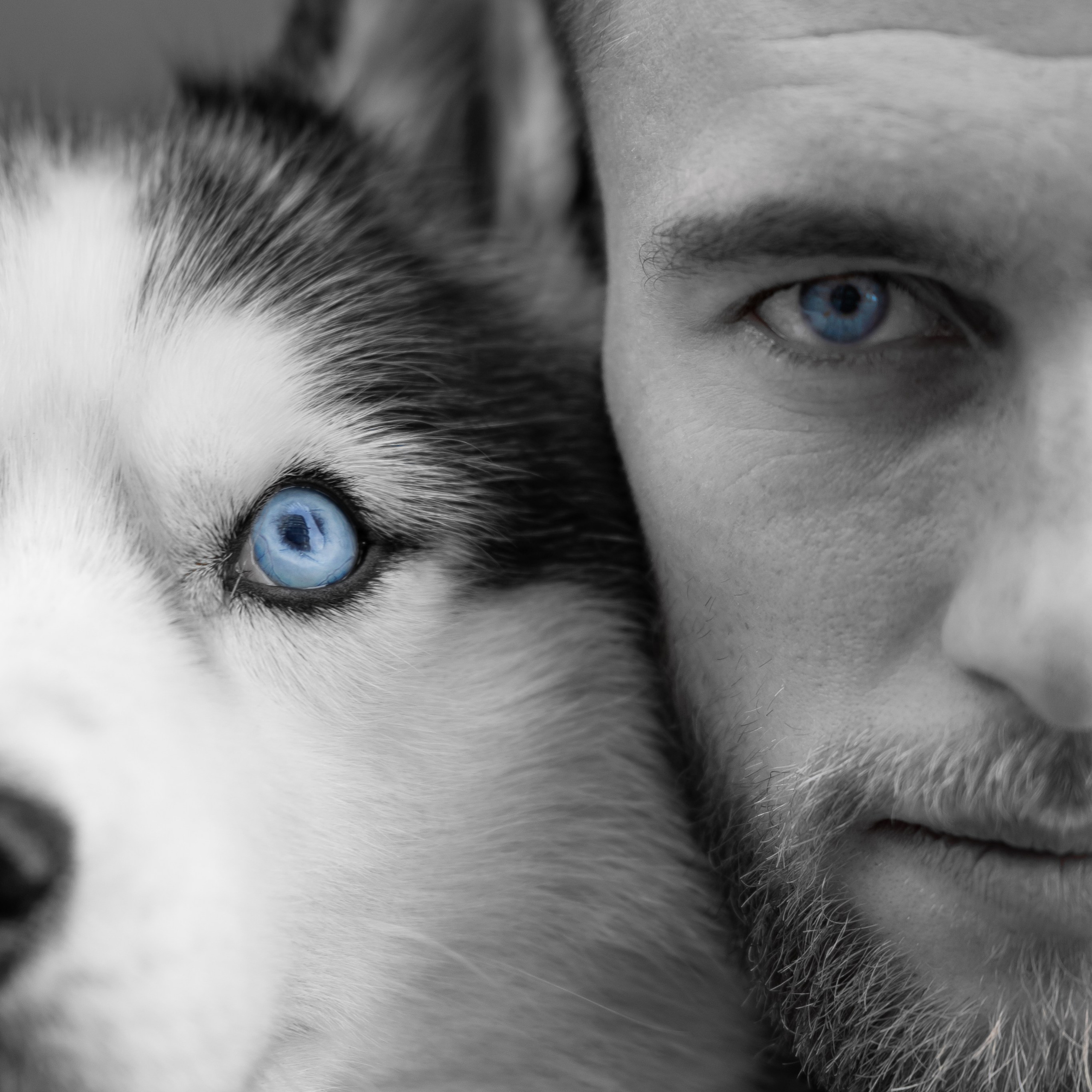 Прогулка с Хаски (Сергей)