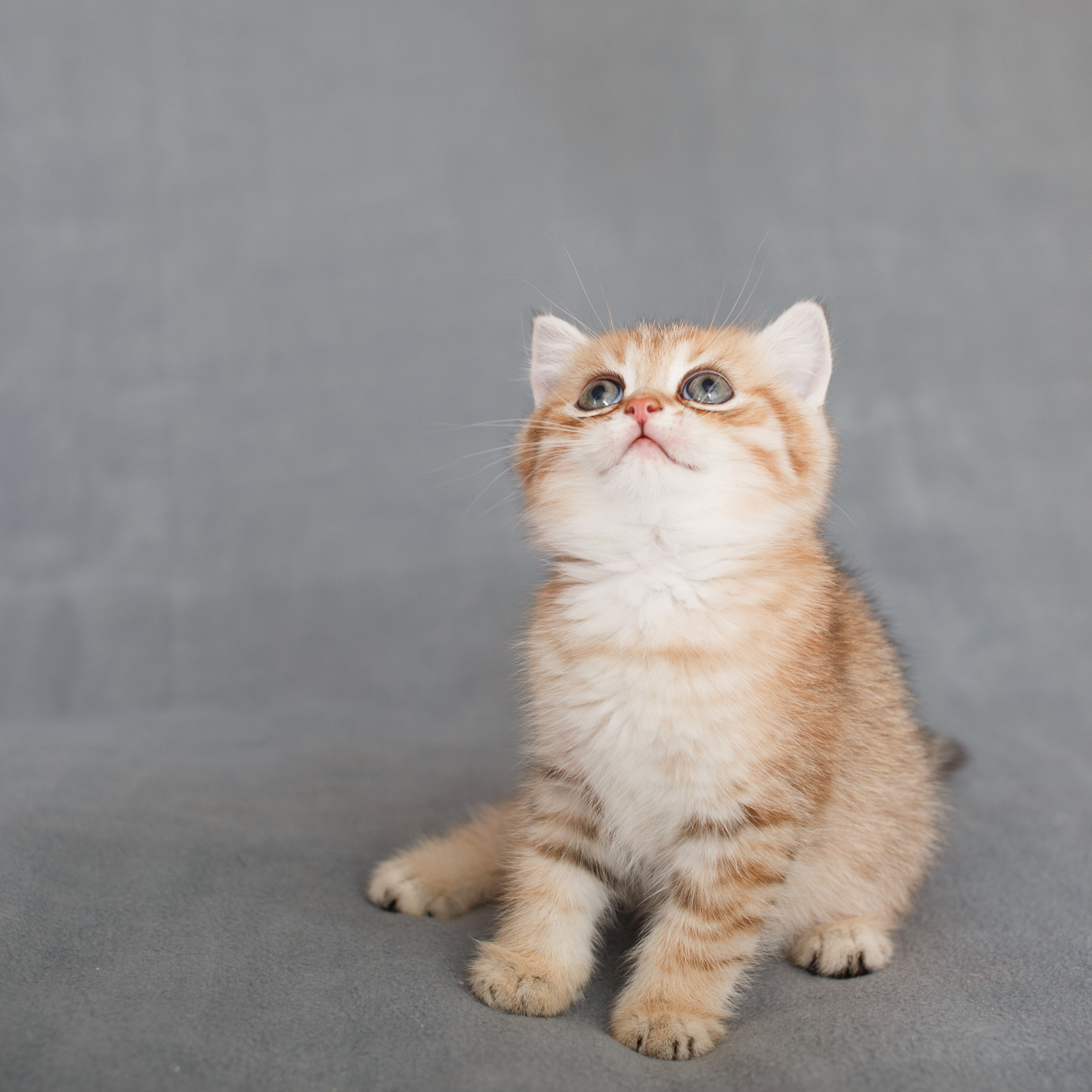 Отзывы. Семейный и детский фотограф в Ярославле