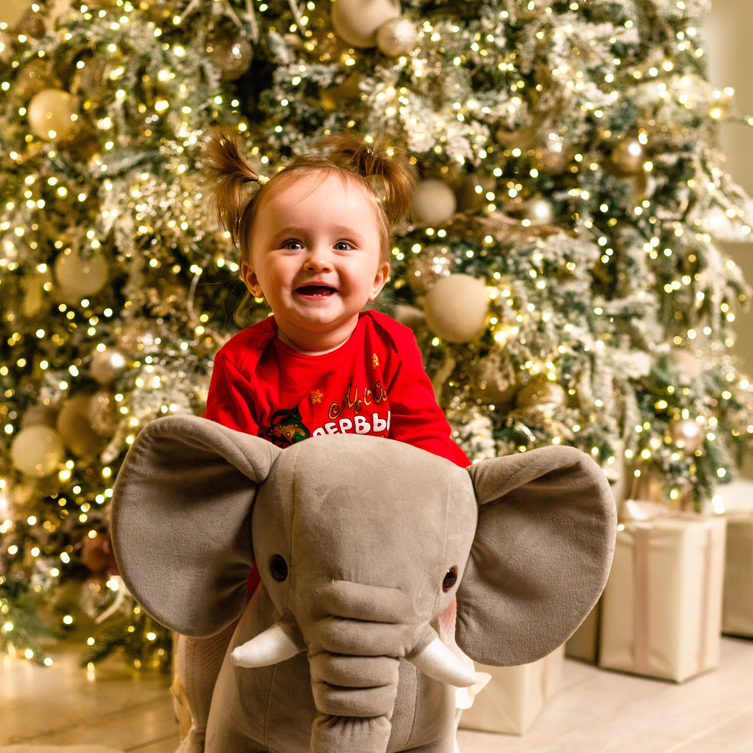 Отзывы. Семейный фотограф в Красноярске Наталья Алина