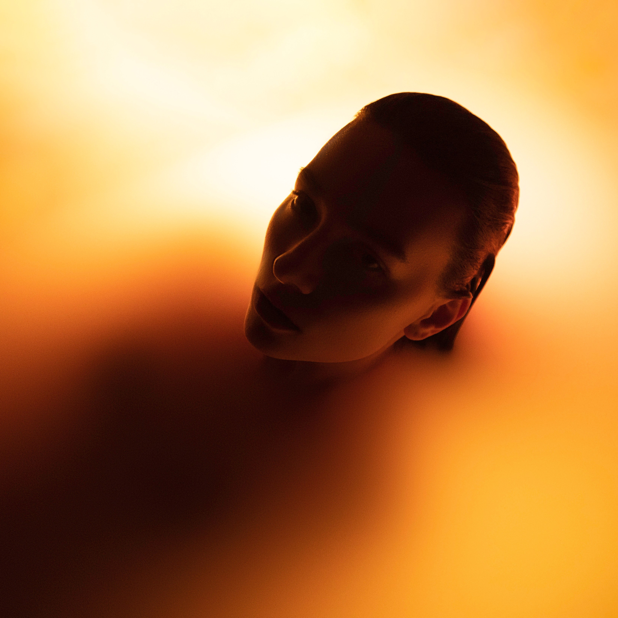 Portraits of women. Denis Borovskikh photographer fine art fashion