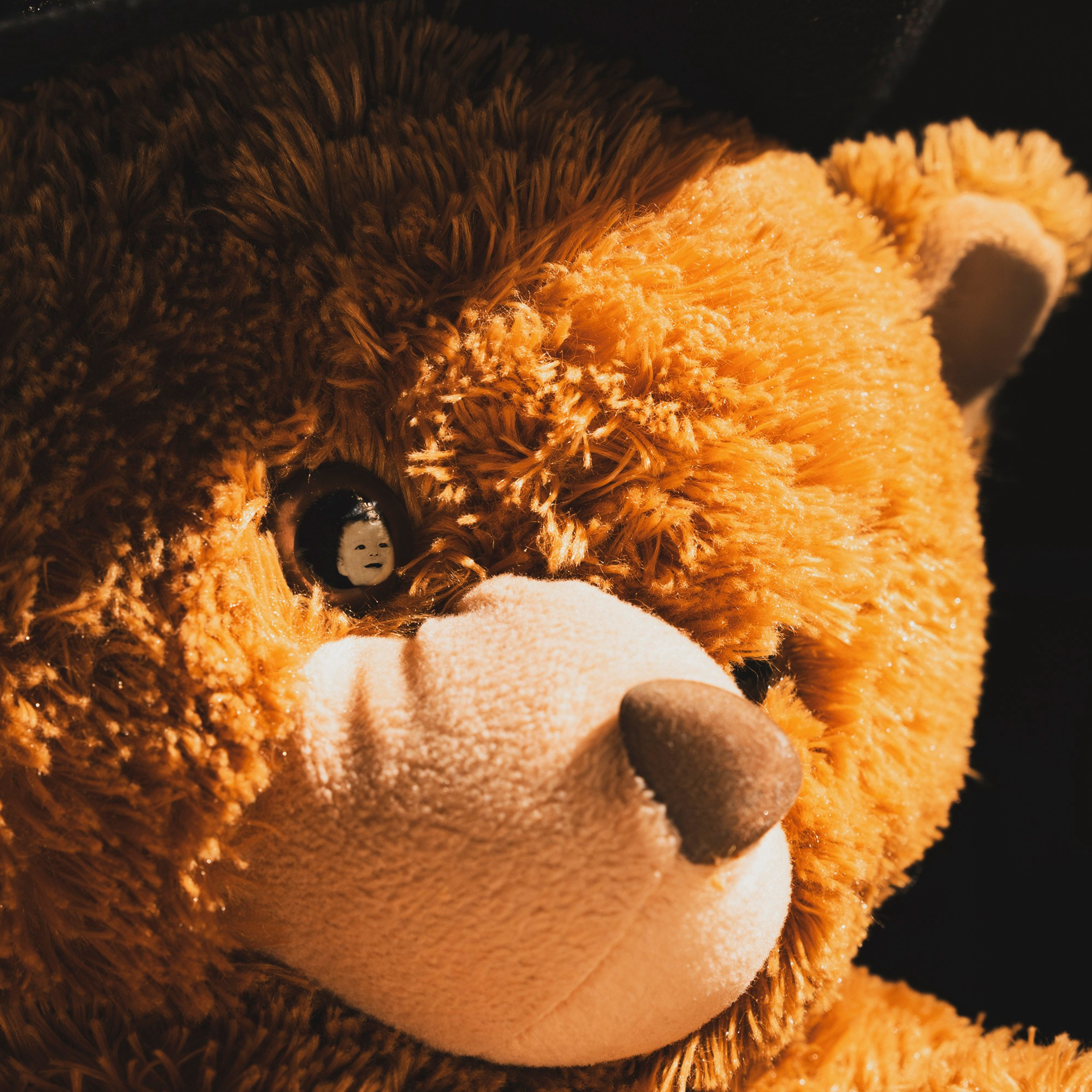 My Little Bear. Denis Borovskikh photographer fine art fashion