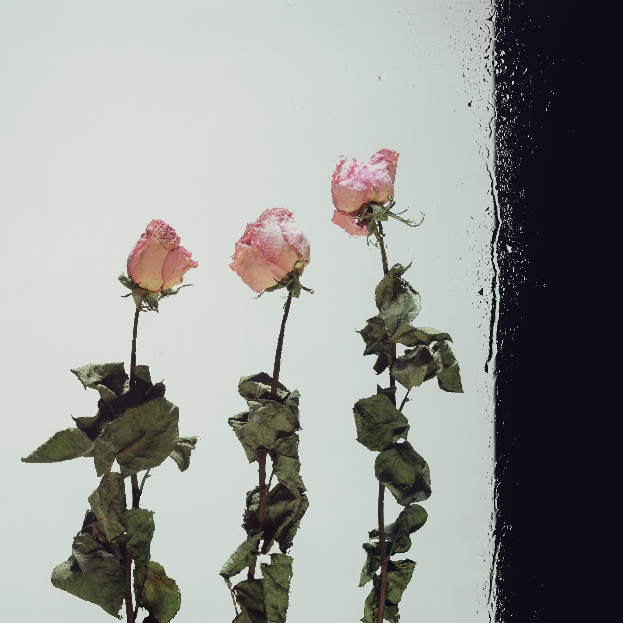 Mexico. Denis Borovskikh photographer fine art fashion