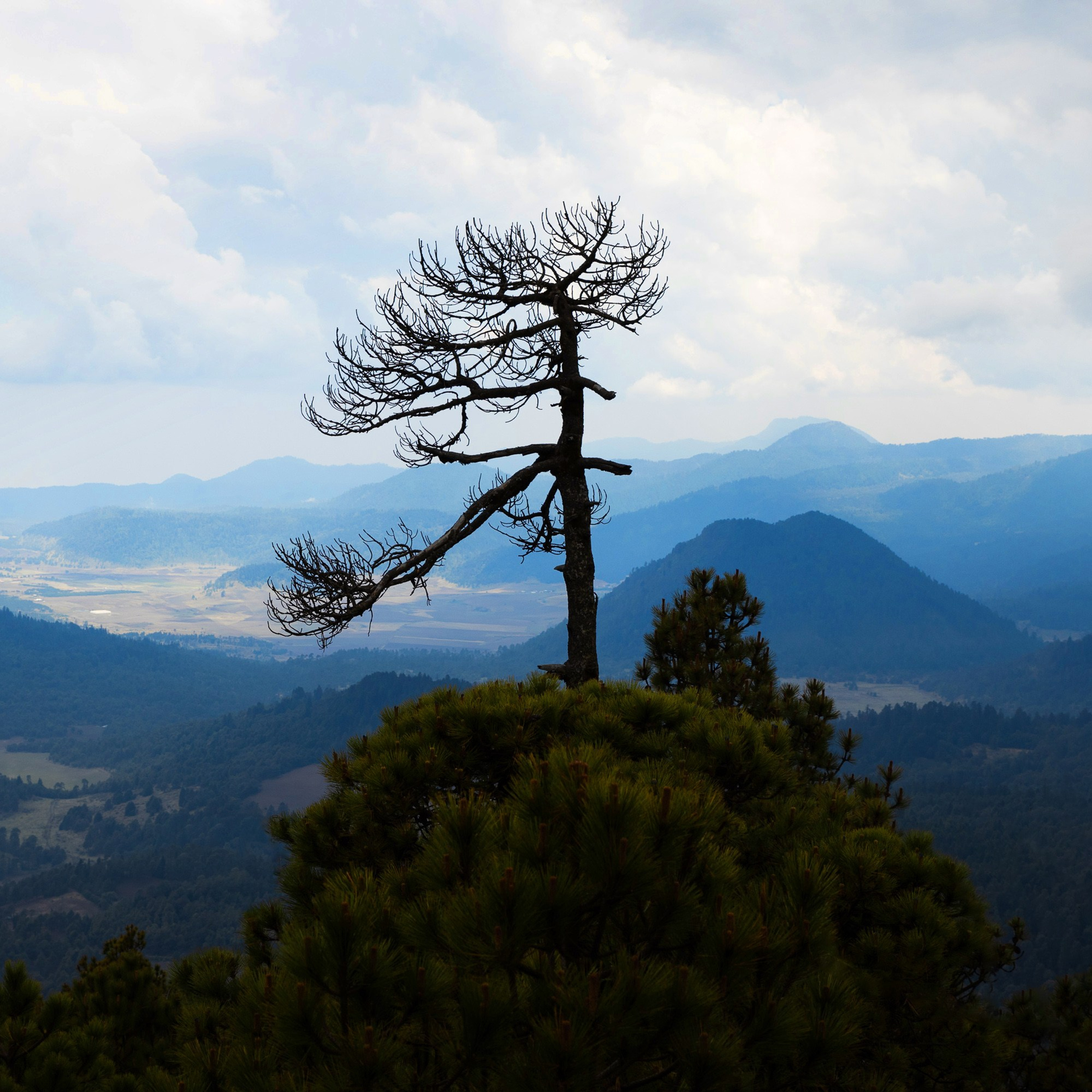 Mexico. Denis Borovskikh photographer fine art fashion