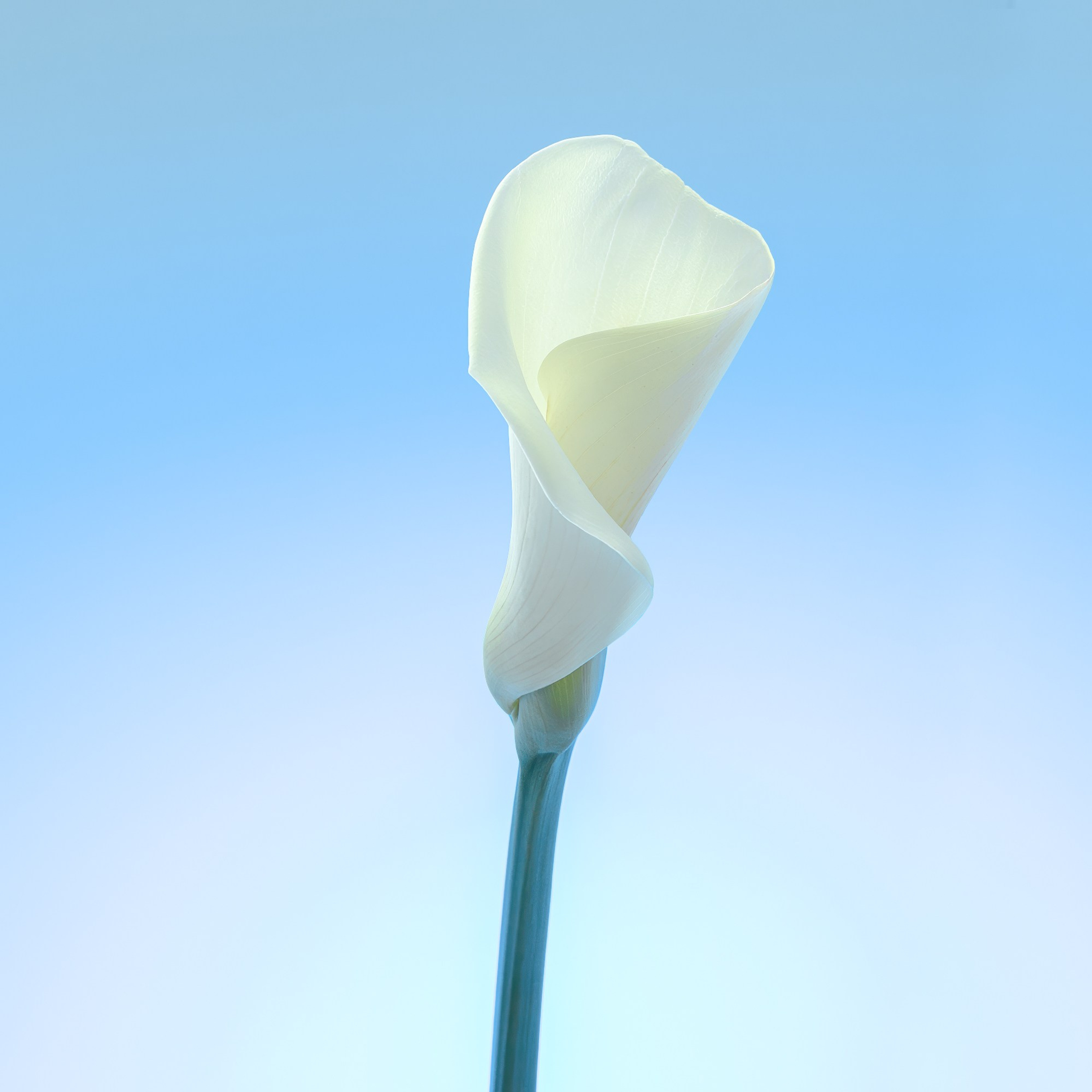 Mexico. Denis Borovskikh photographer fine art fashion