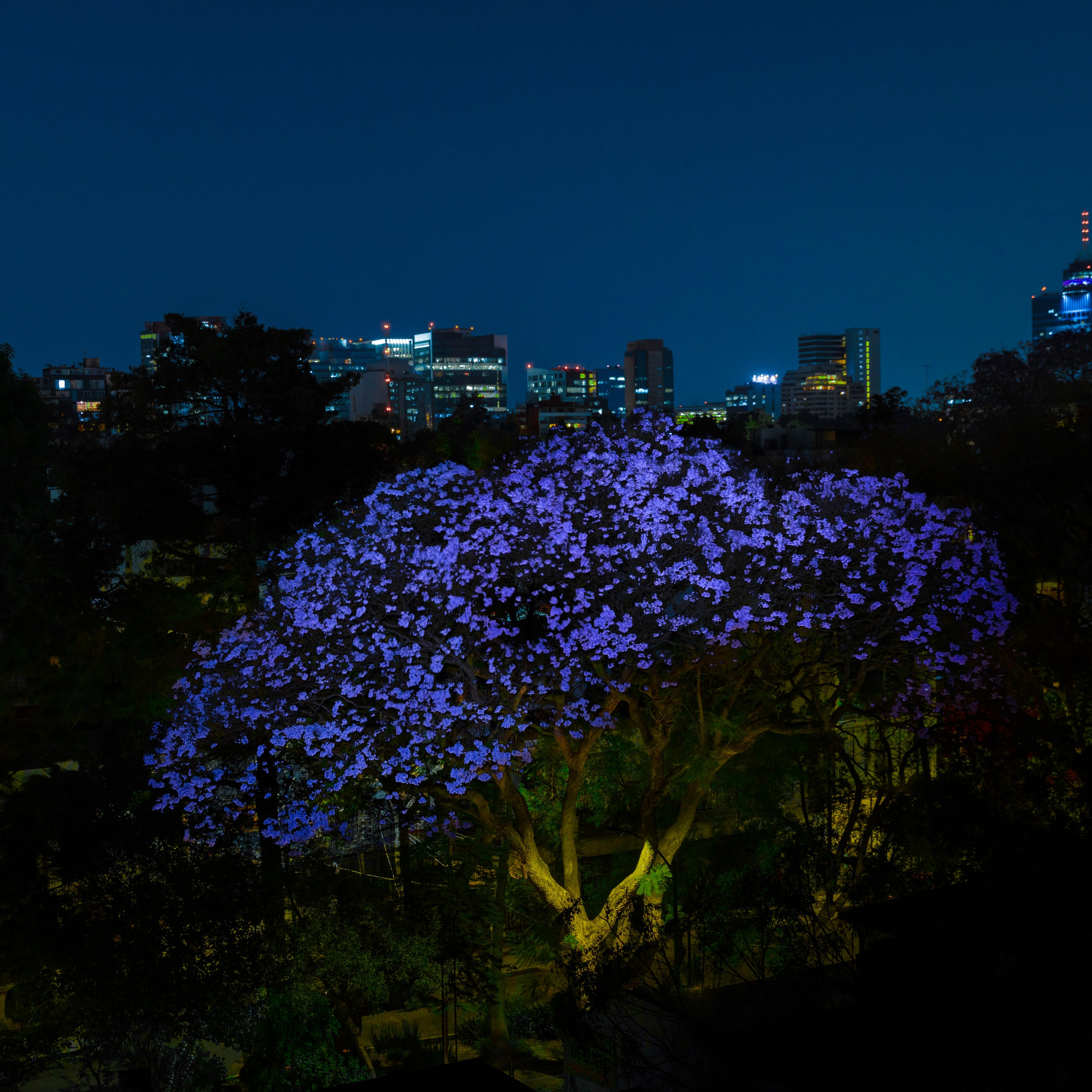 Mexico. Denis Borovskikh photographer fine art fashion