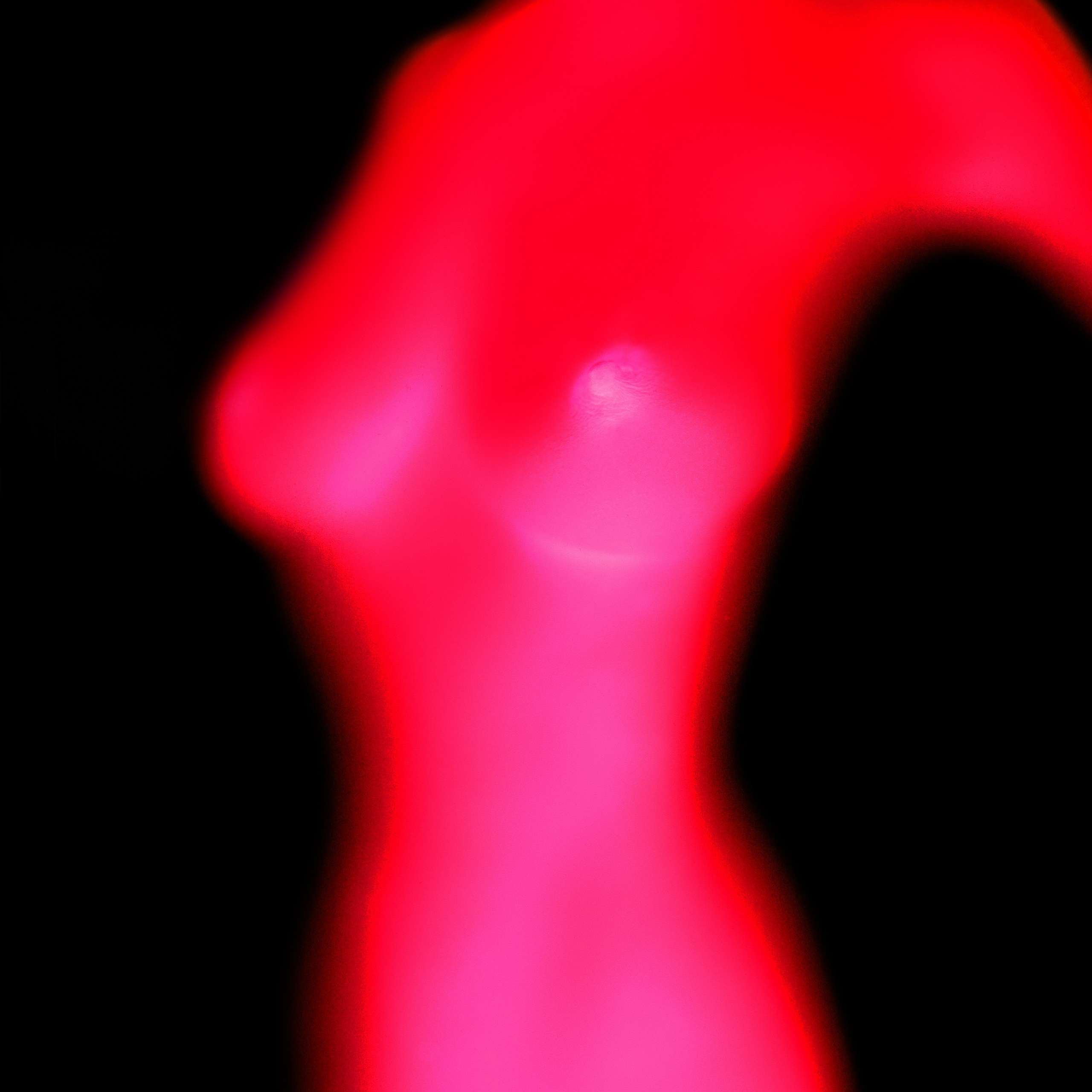 Spectrum. Denis Borovskikh photographer fine art fashion