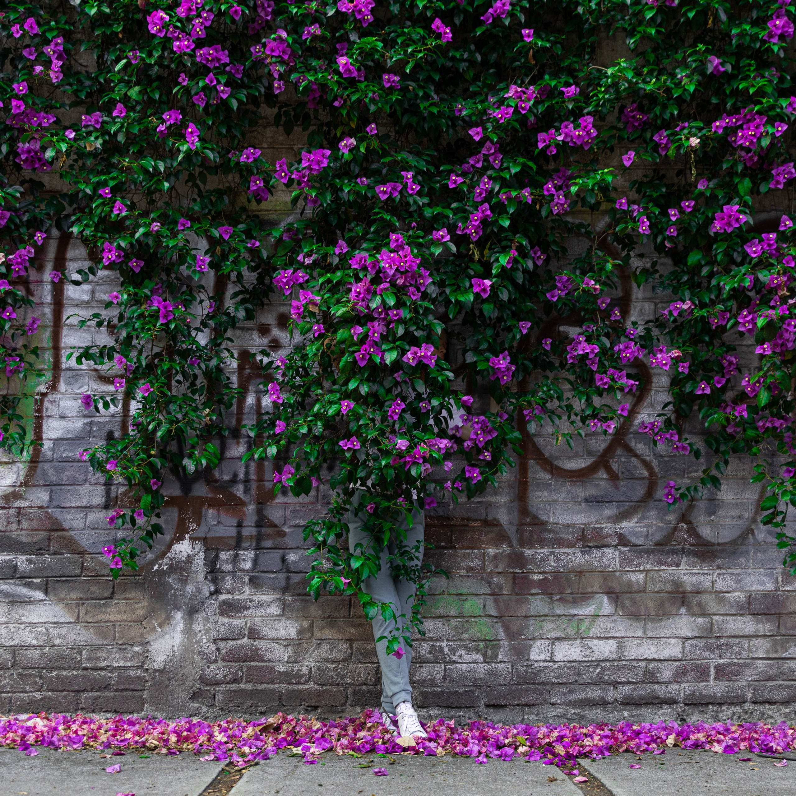 Mexico. Denis Borovskikh photographer fine art fashion