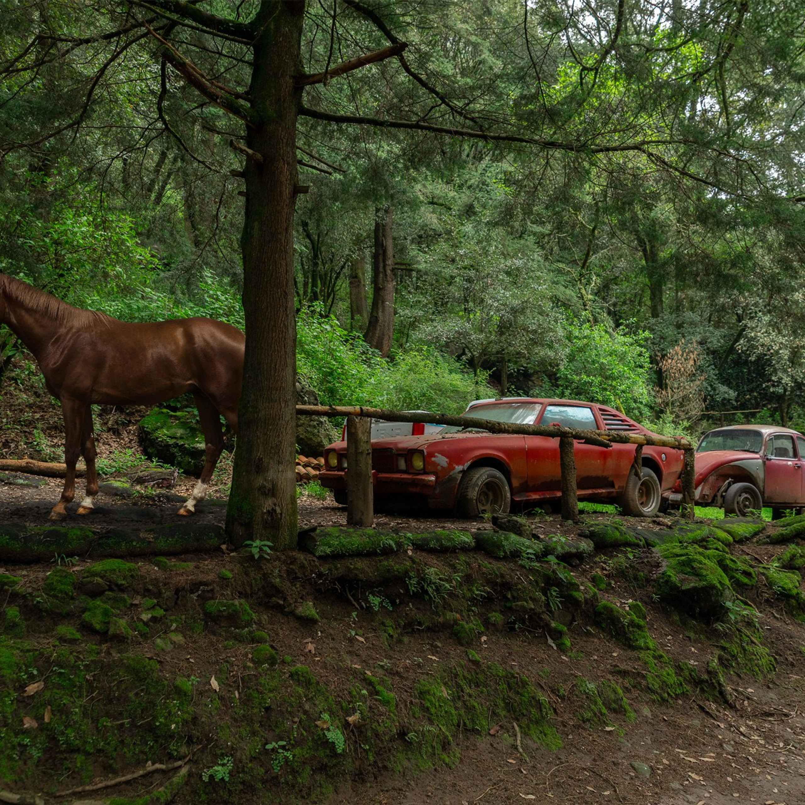 Mexico. Denis Borovskikh photographer fine art fashion