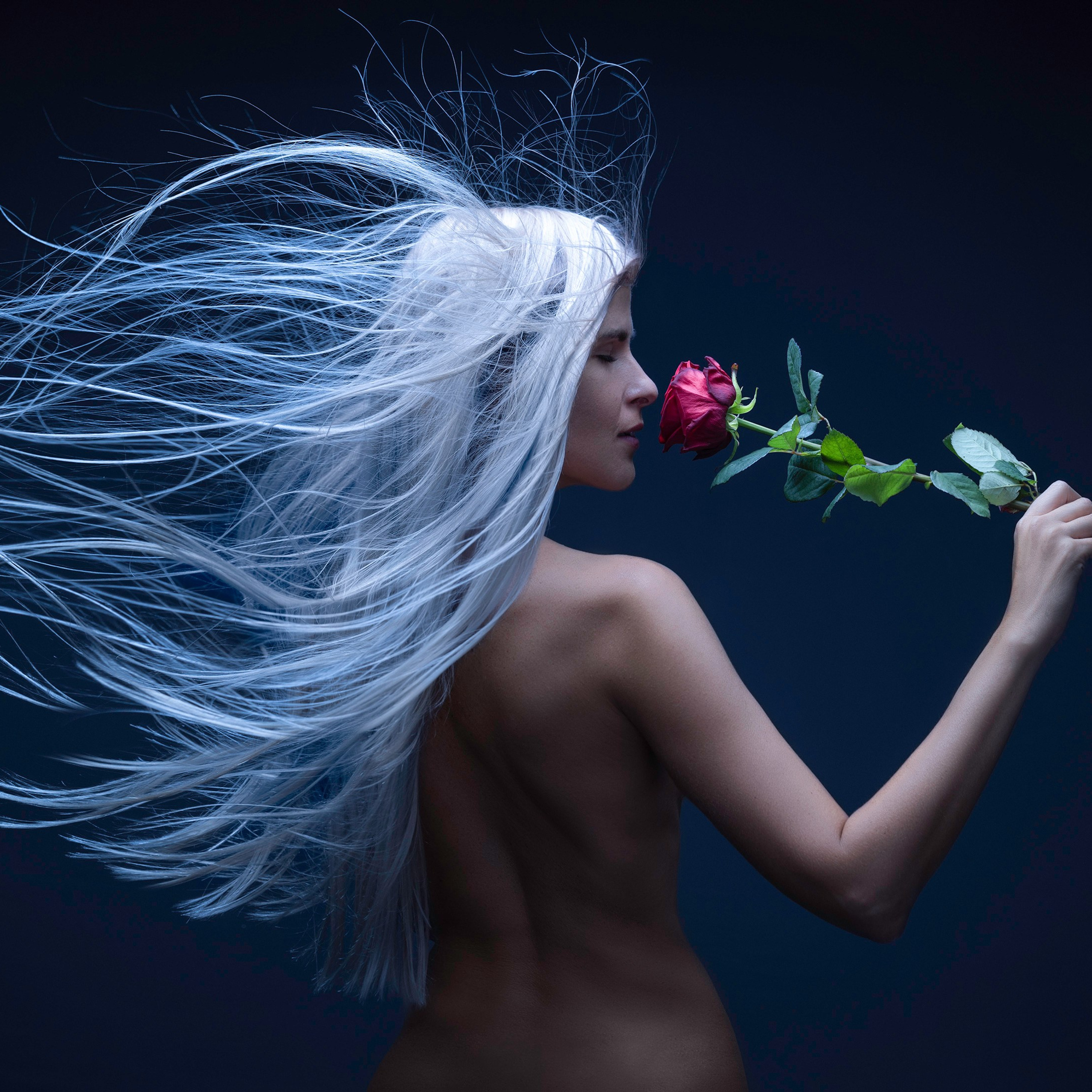 Northern wind. Denis Borovskikh photographer fine art fashion