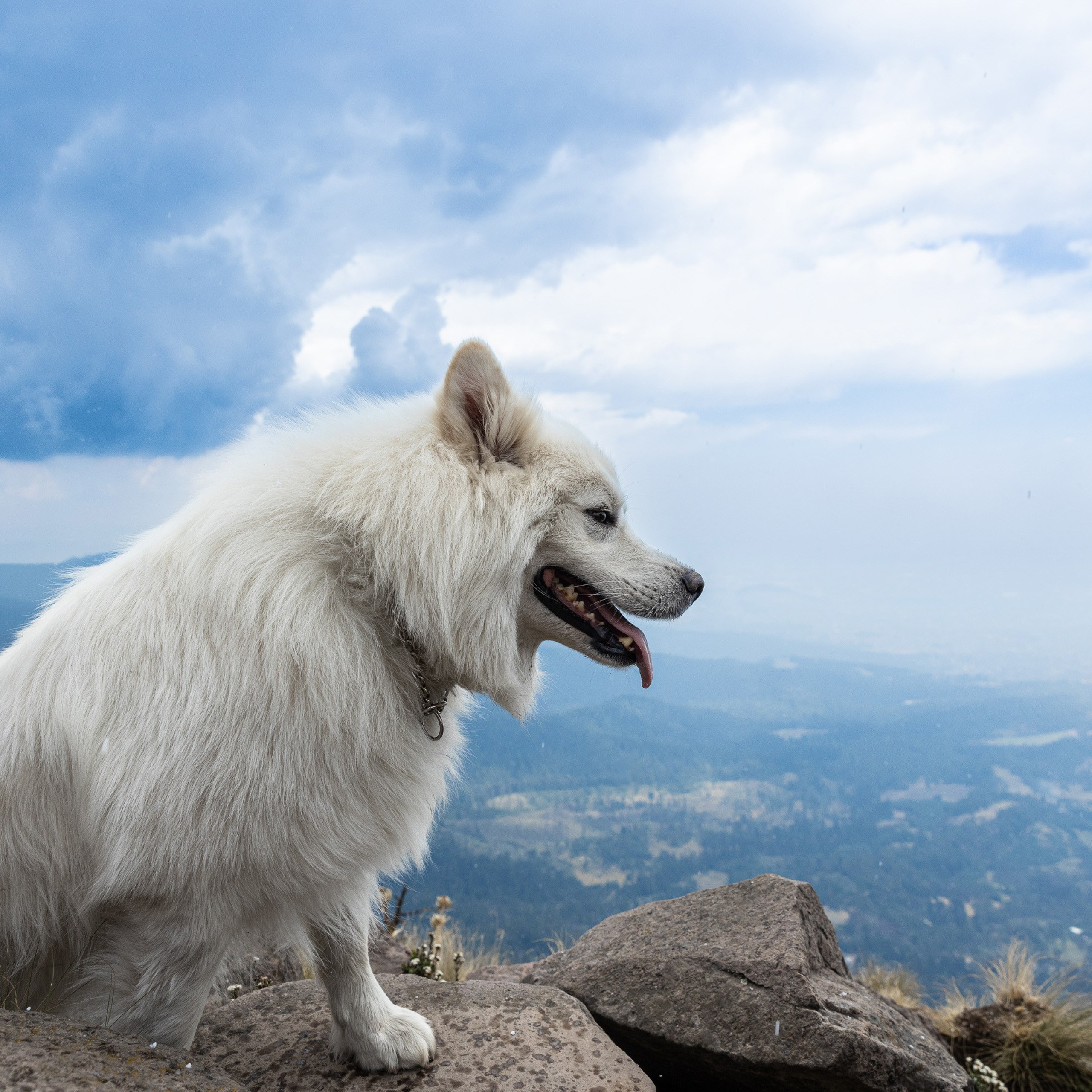 Mexico. Denis Borovskikh photographer fine art fashion