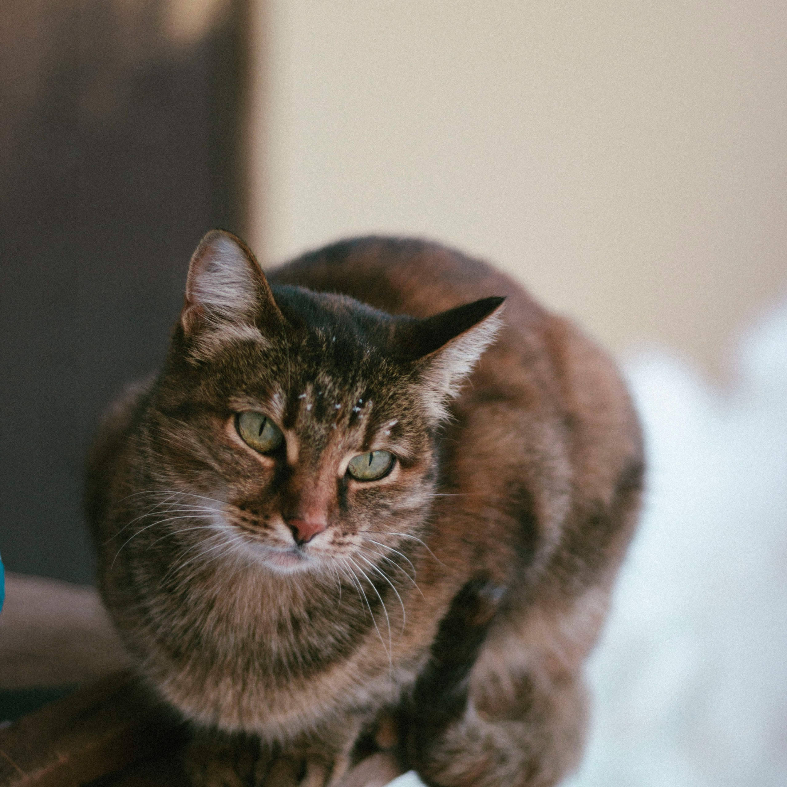 Отзывы. Фотограф Димитровград Казань Валерия Владимиркина