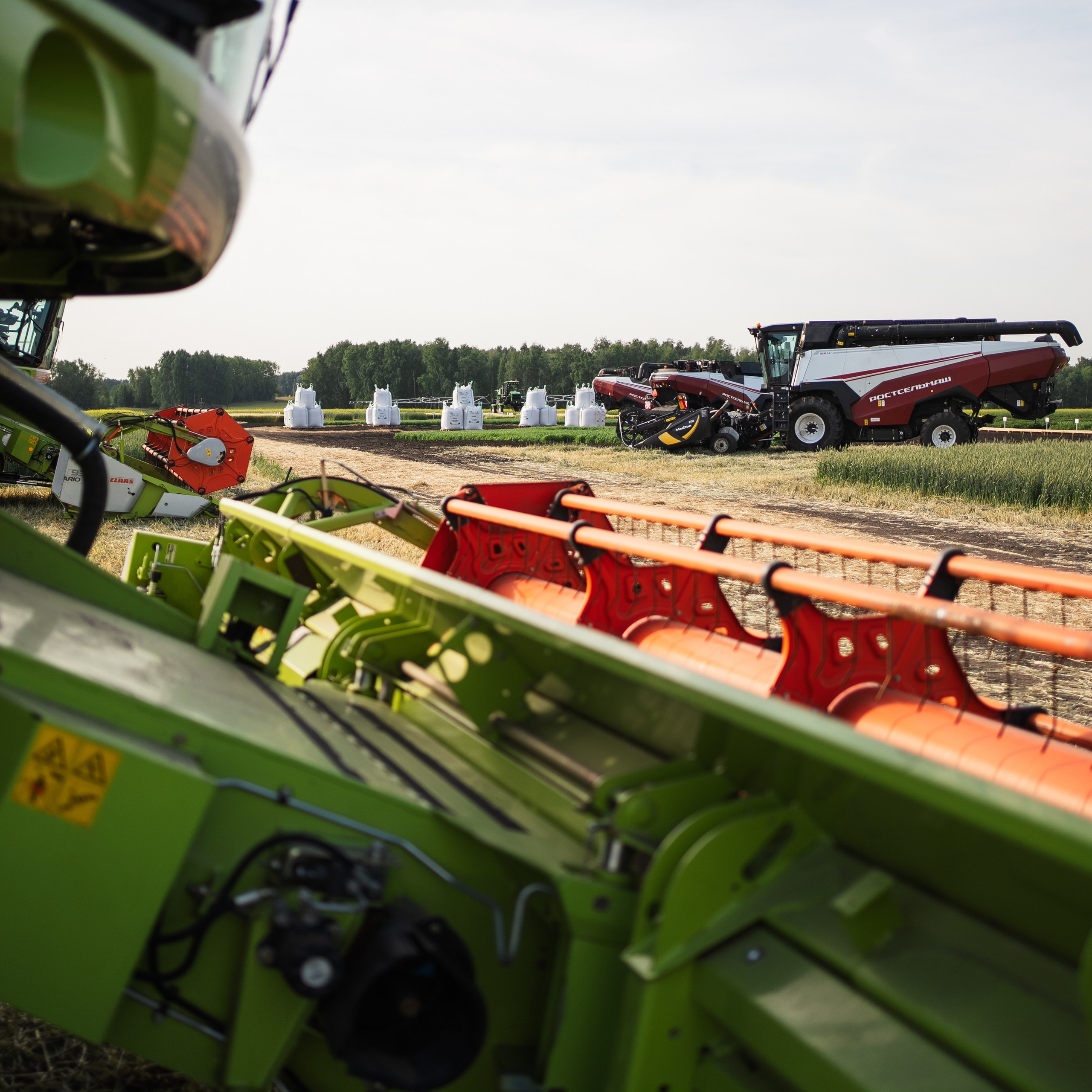 Сельское хозяйство